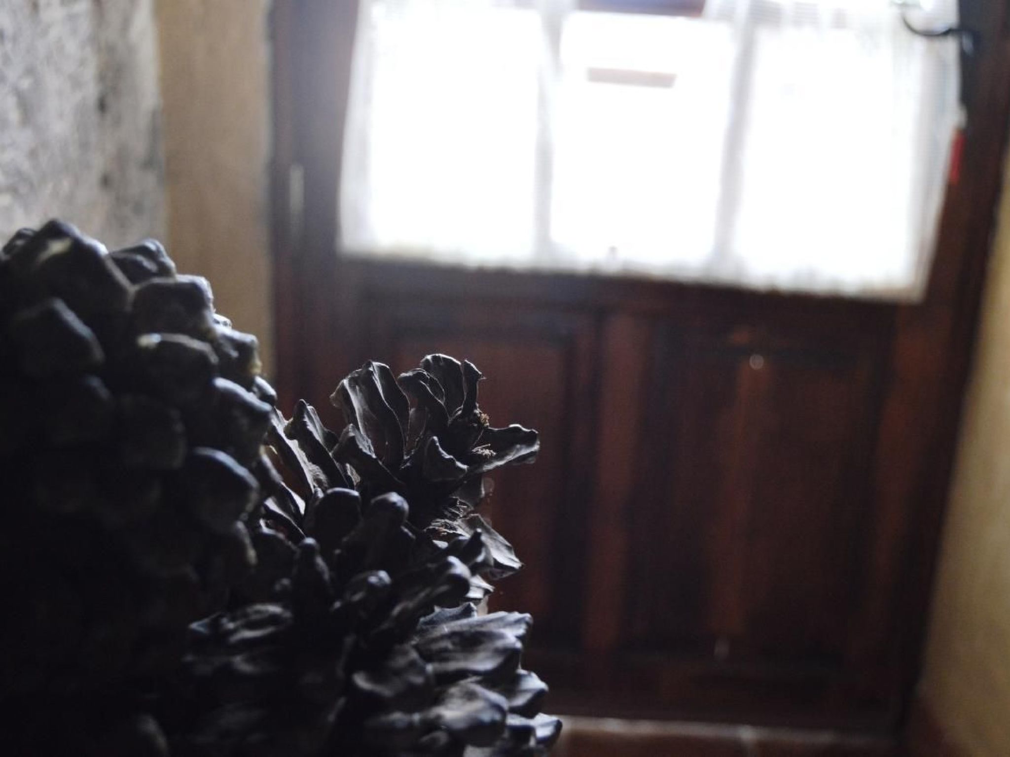 Landhaus Pepita la de las flores-Binnen