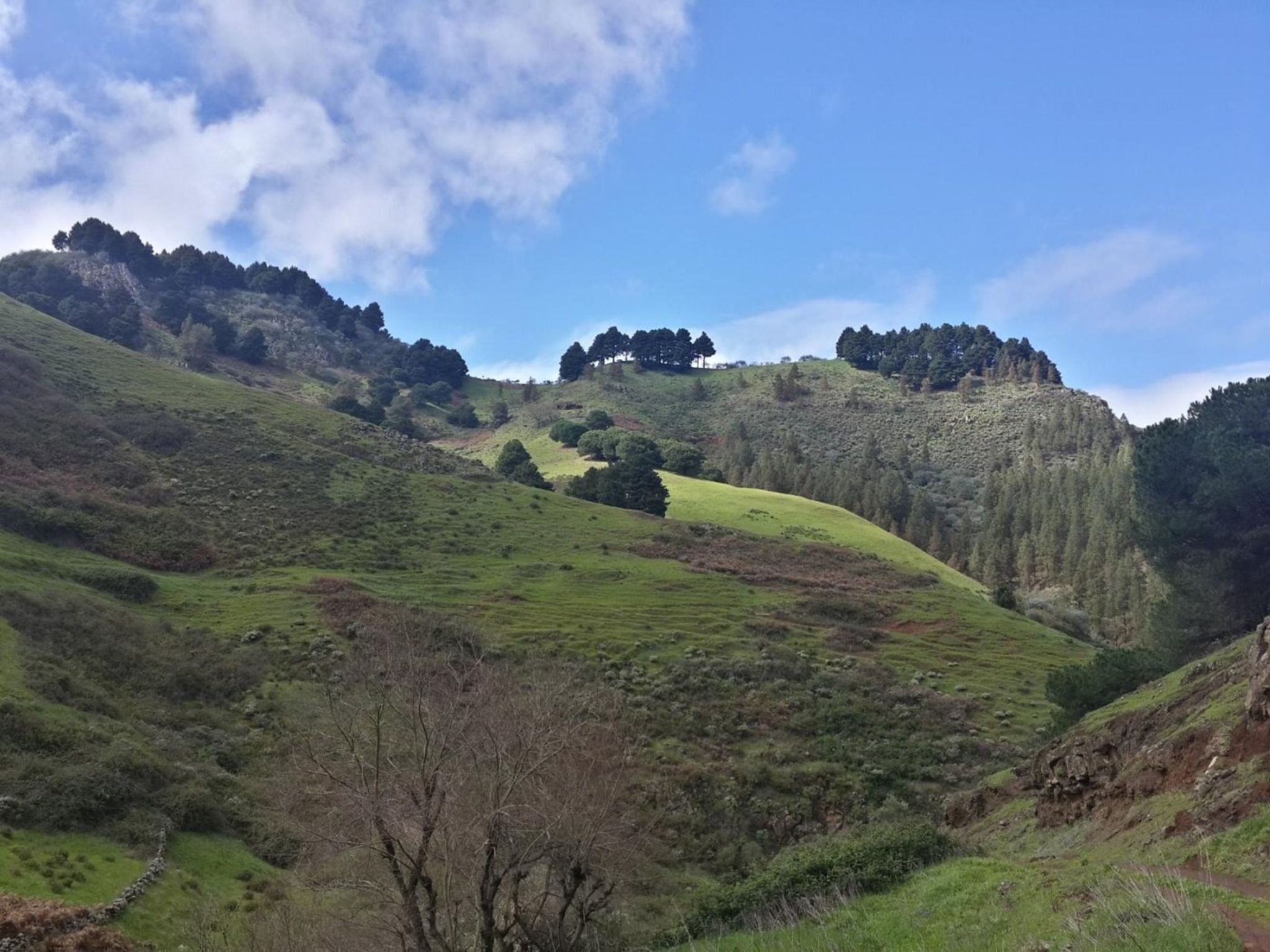 Landhaus "La Cabaña" mit Privatparkplatz-Binnen