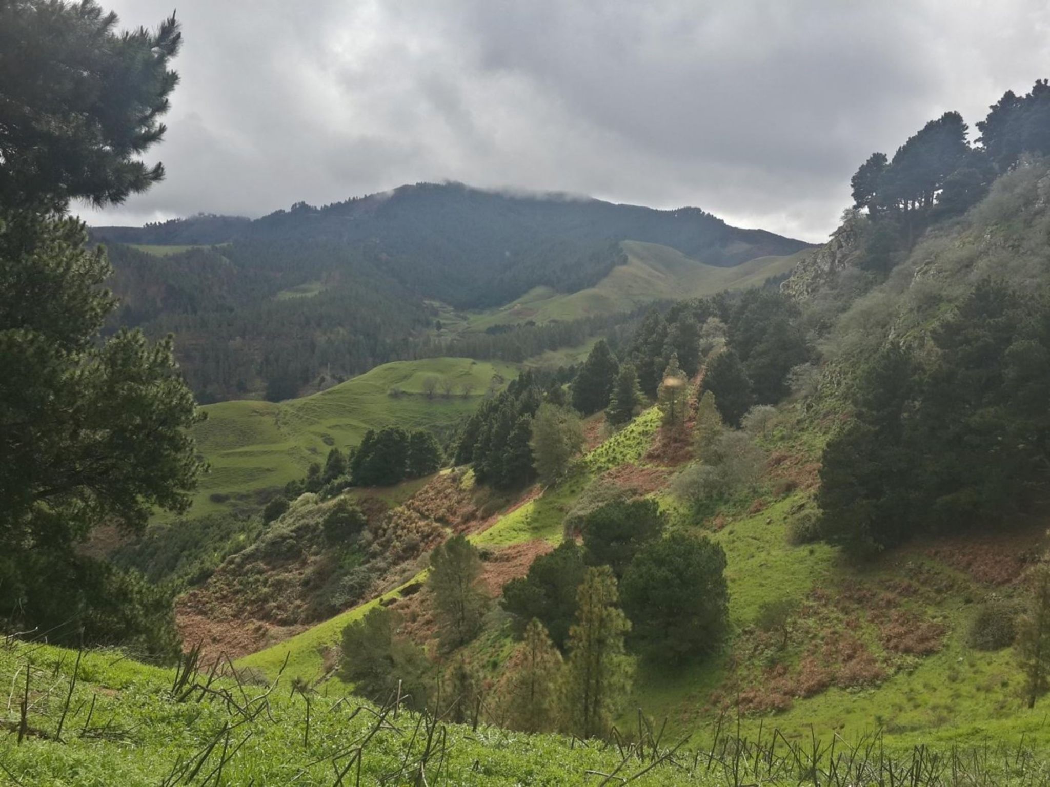 Landhaus "La Cabaña" mit Privatparkplatz-Binnen