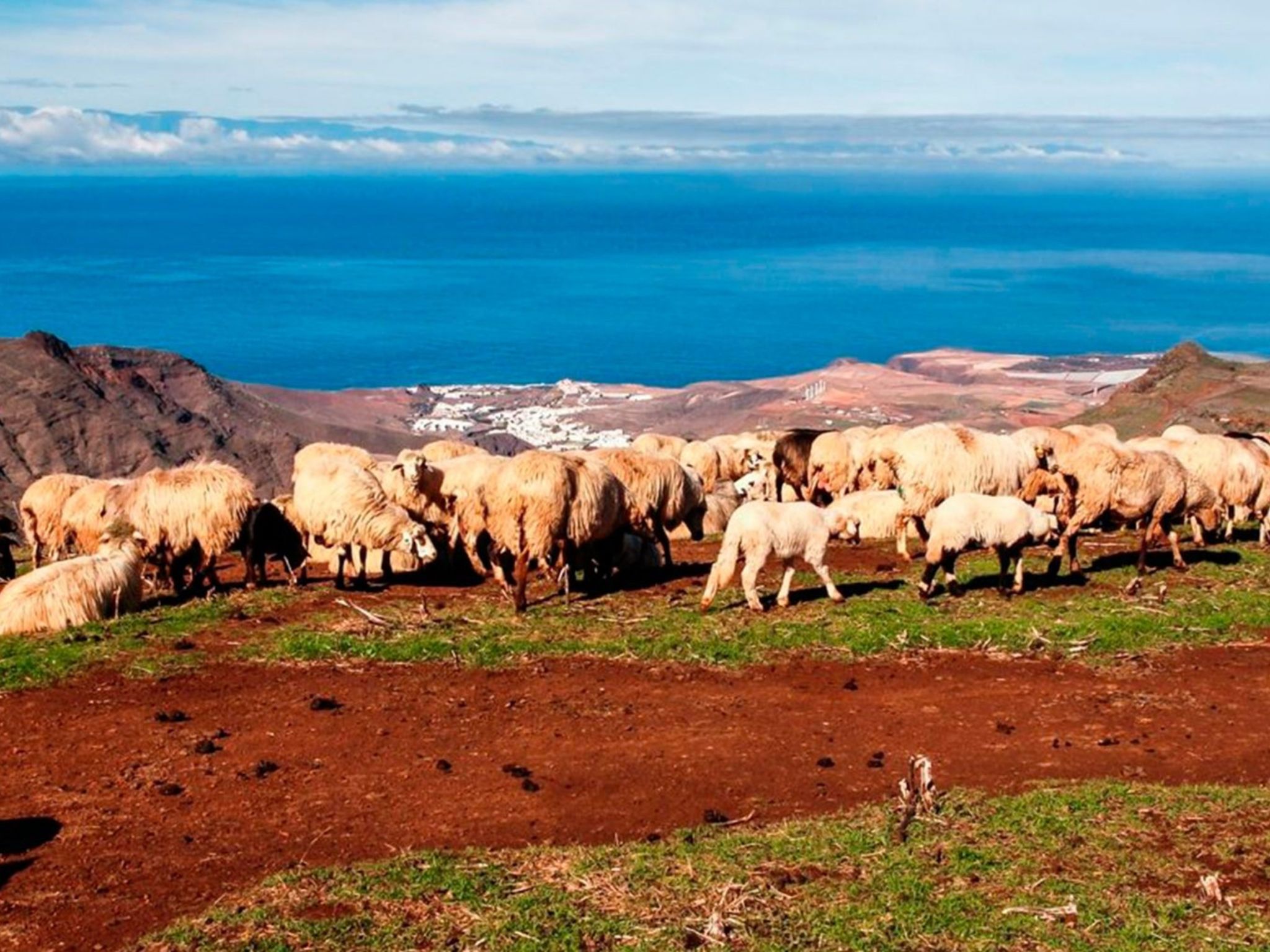 Landhaus "La Cabaña" mit Privatparkplatz-Binnen
