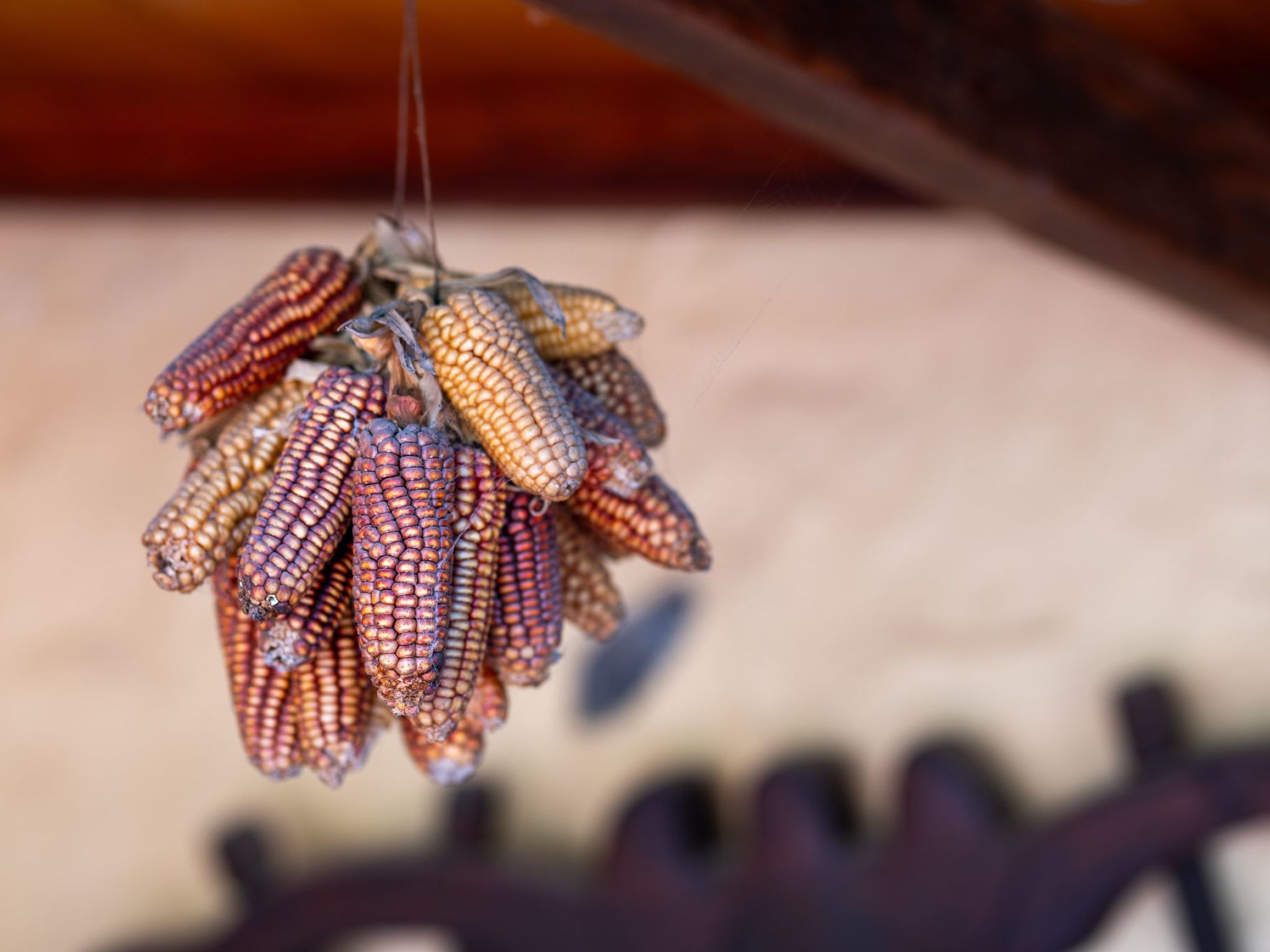 Kanarische Finca mit Pool und herrlicher Aussicht-Image-tags.info