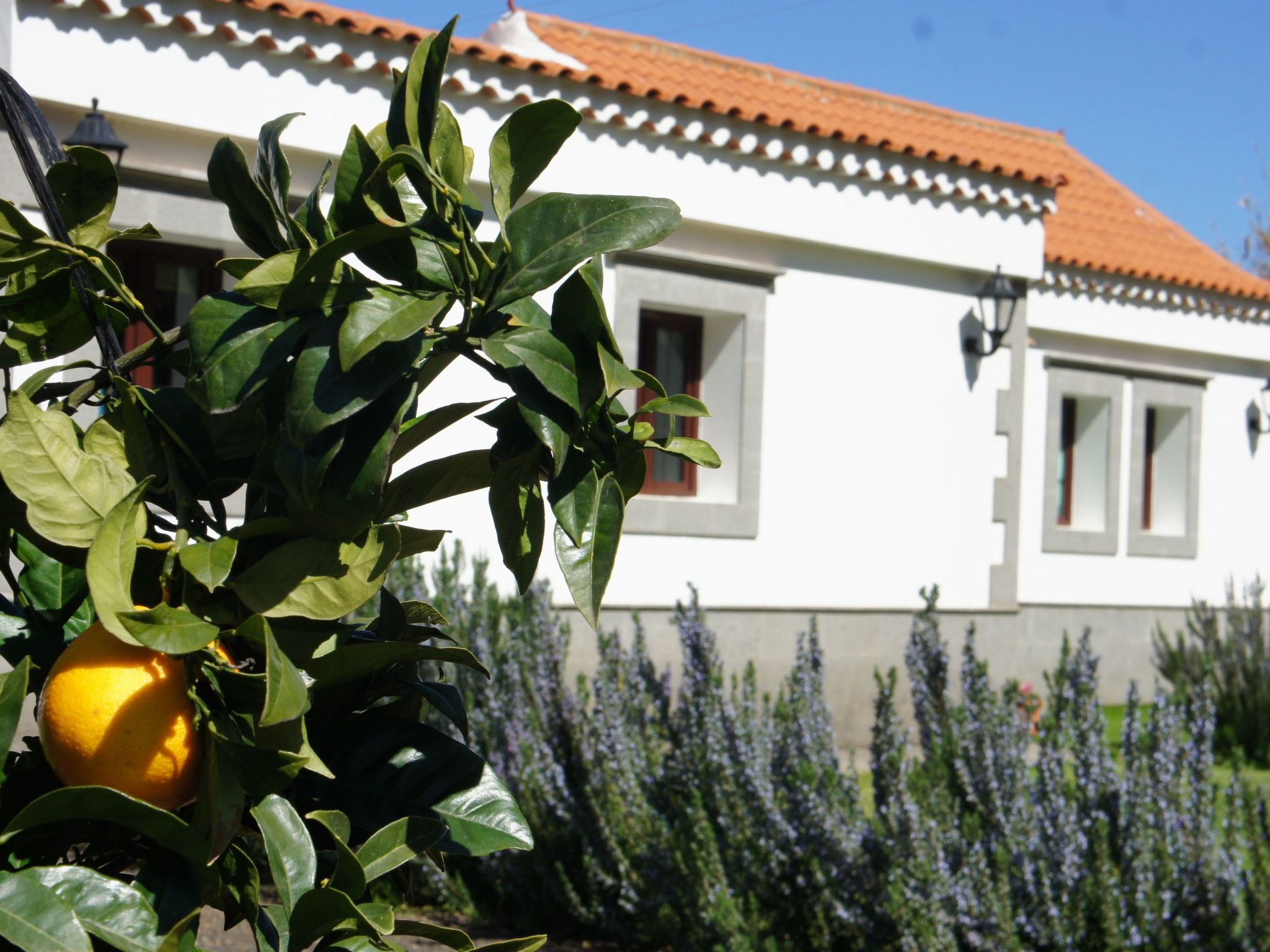 Villa Lucas mit Gartenterrasse und Schwimmbad-Binnen