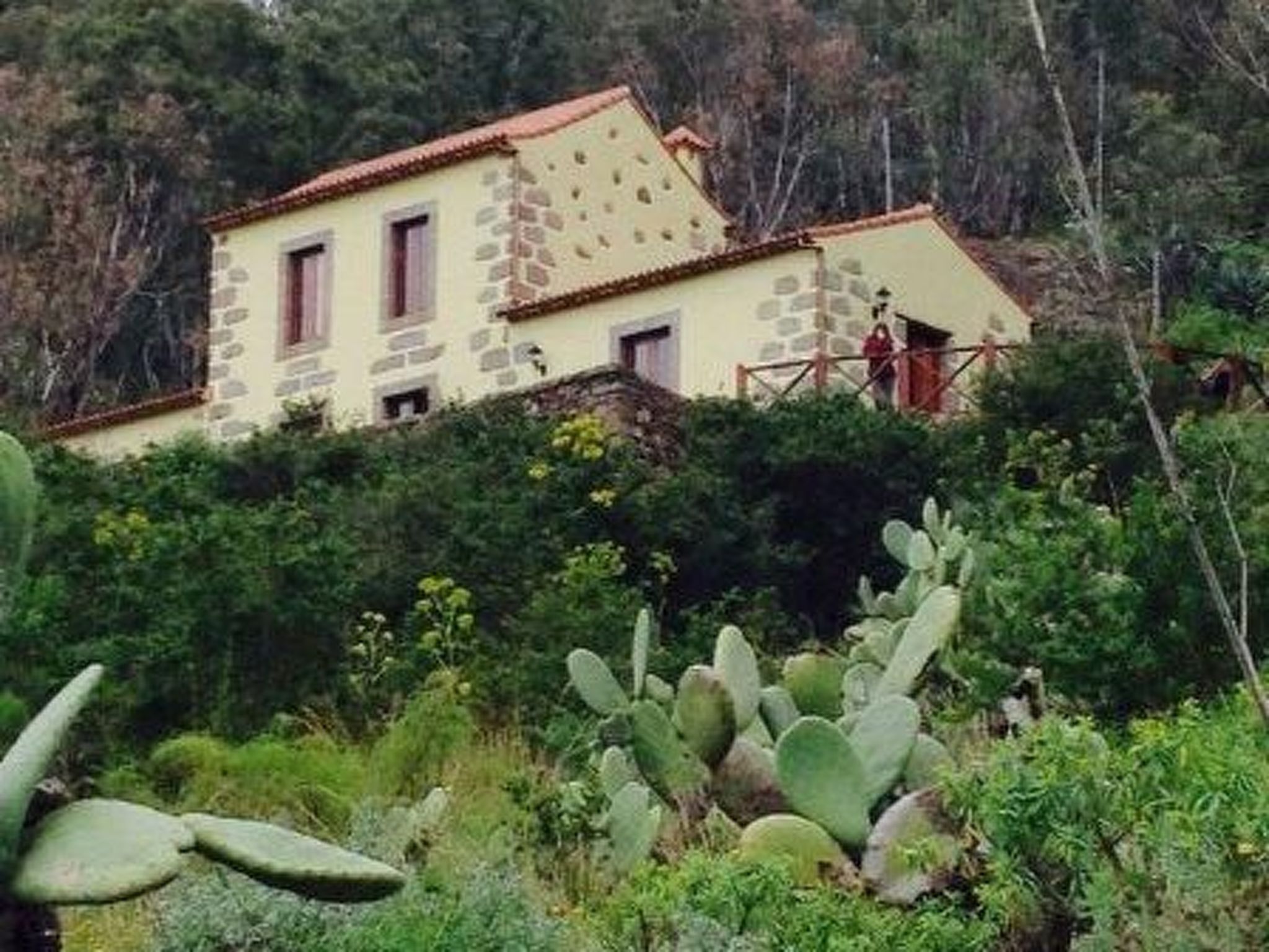 Ländliches Haus Las Caldereras-Binnen