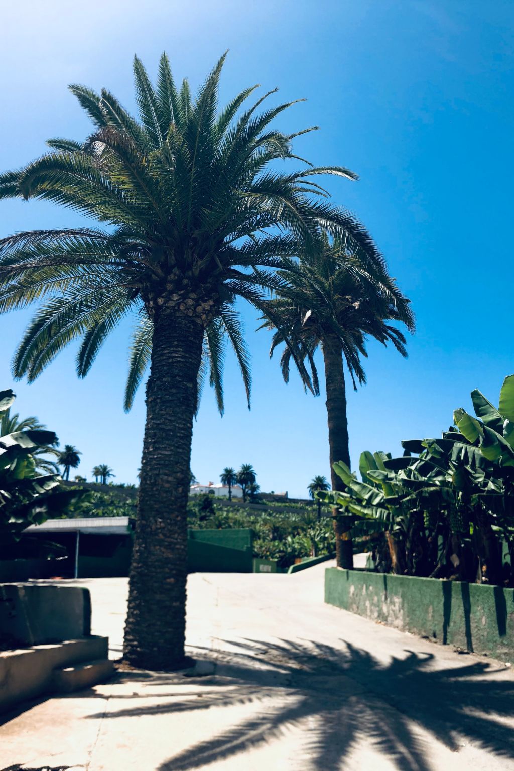 Photo of Villa los palmitos Familiäre Privatvilla mit Pool