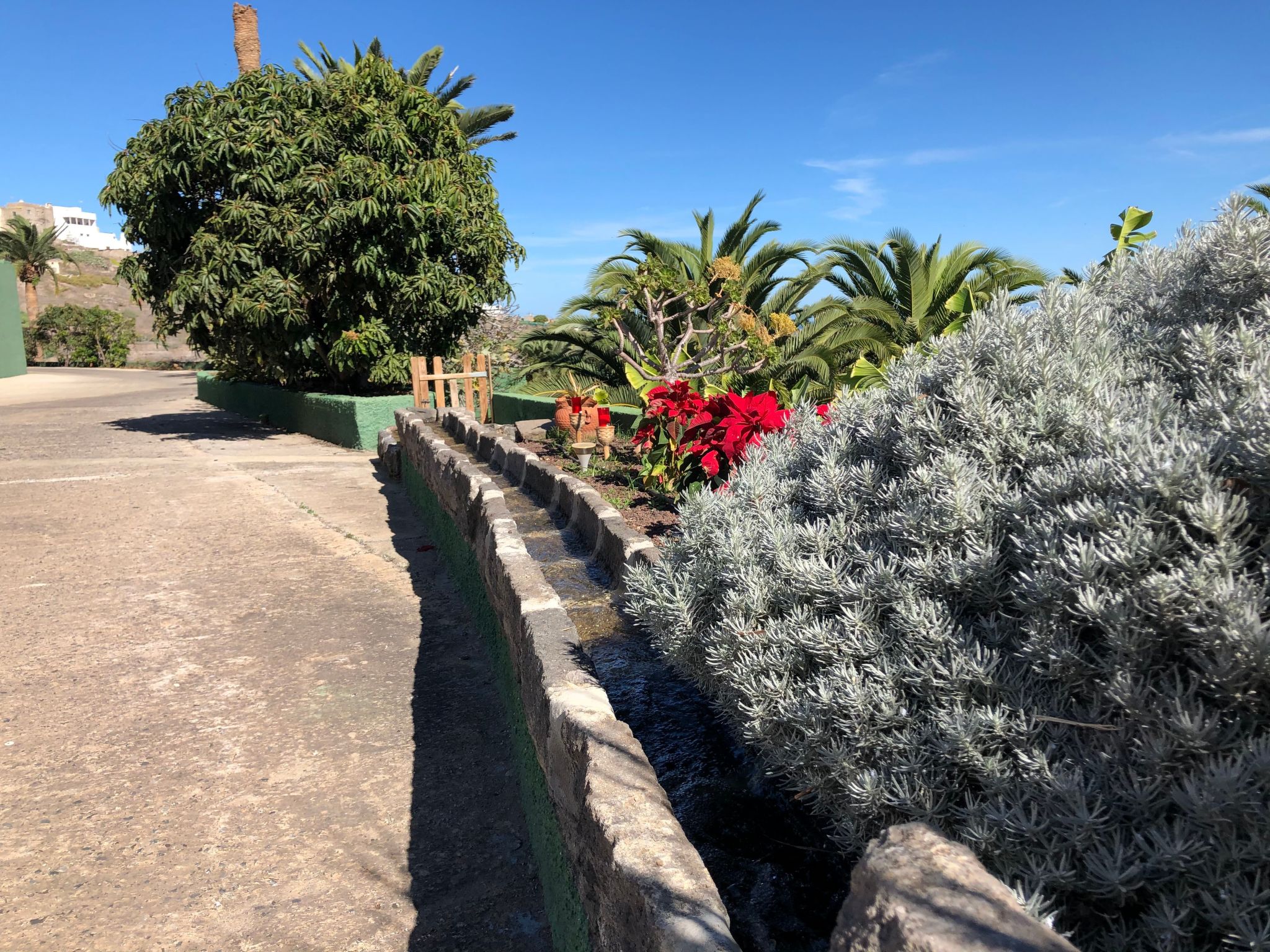 Photo of Villa los palmitos Familiäre Privatvilla mit Pool