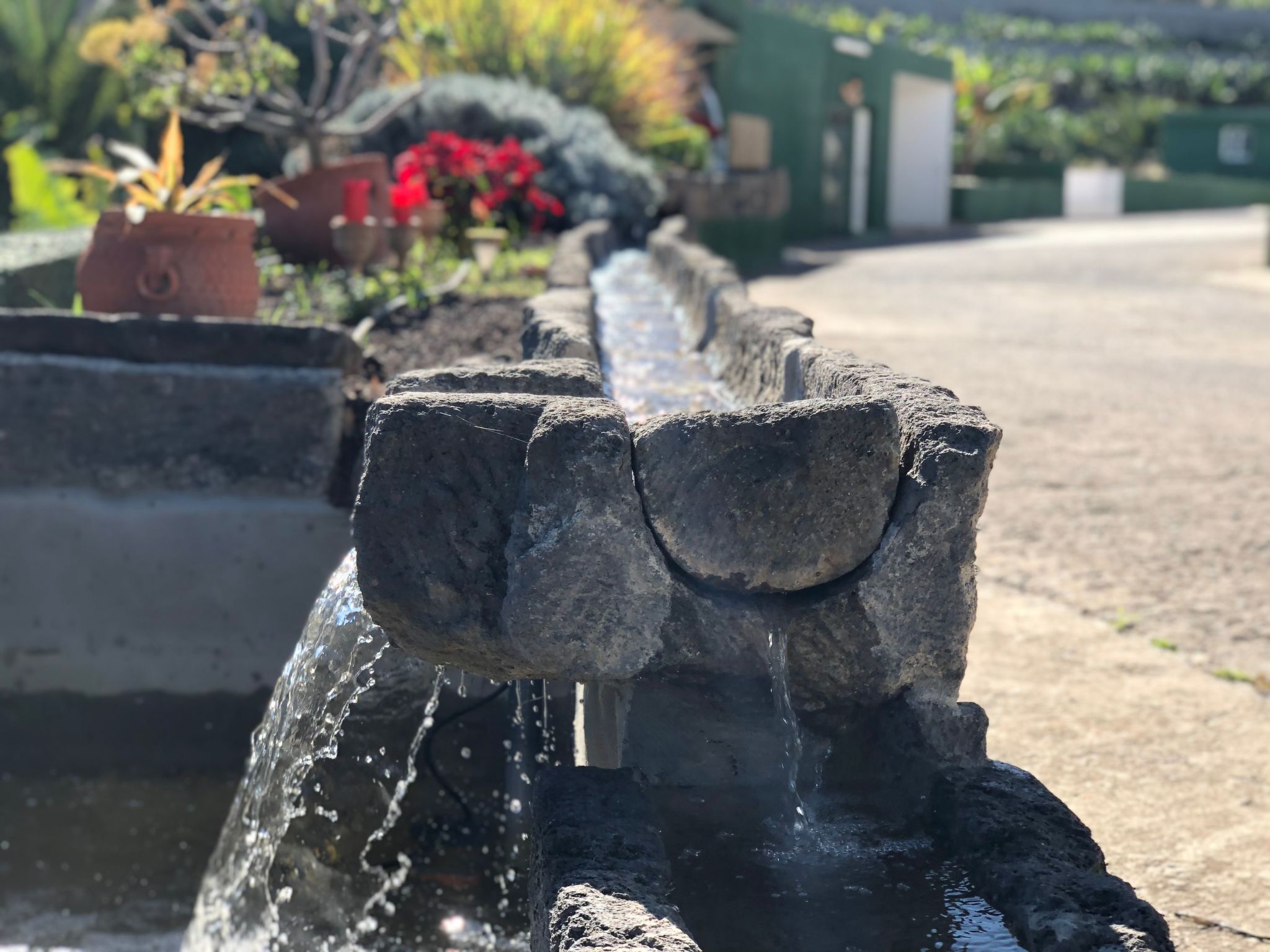 Photo of Villa los palmitos Familiäre Privatvilla mit Pool