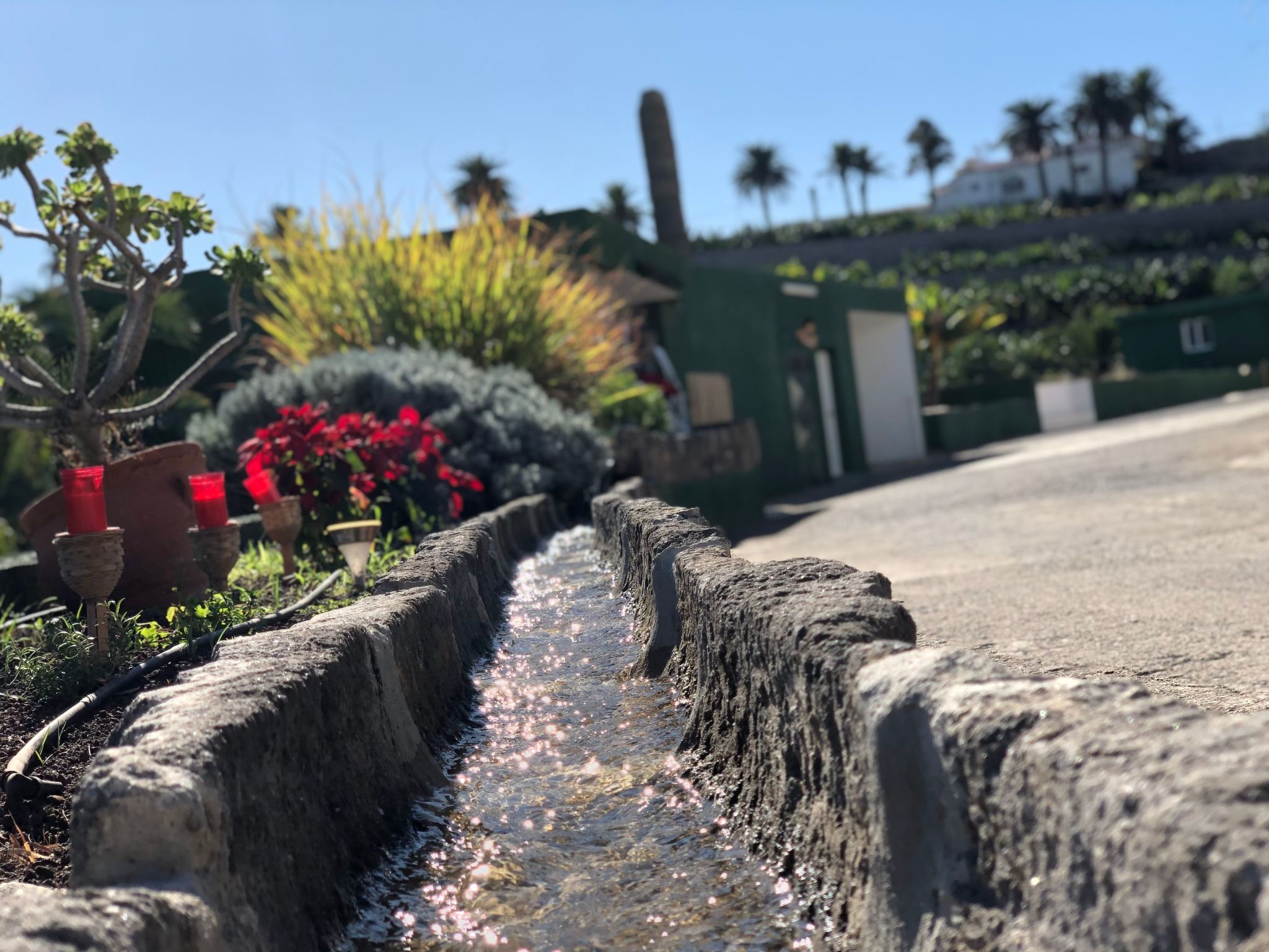 Photo of Villa los palmitos Familiäre Privatvilla mit Pool