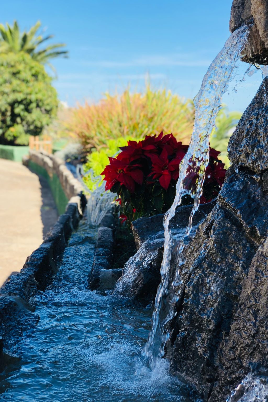 Photo of Villa los palmitos Familiäre Privatvilla mit Pool