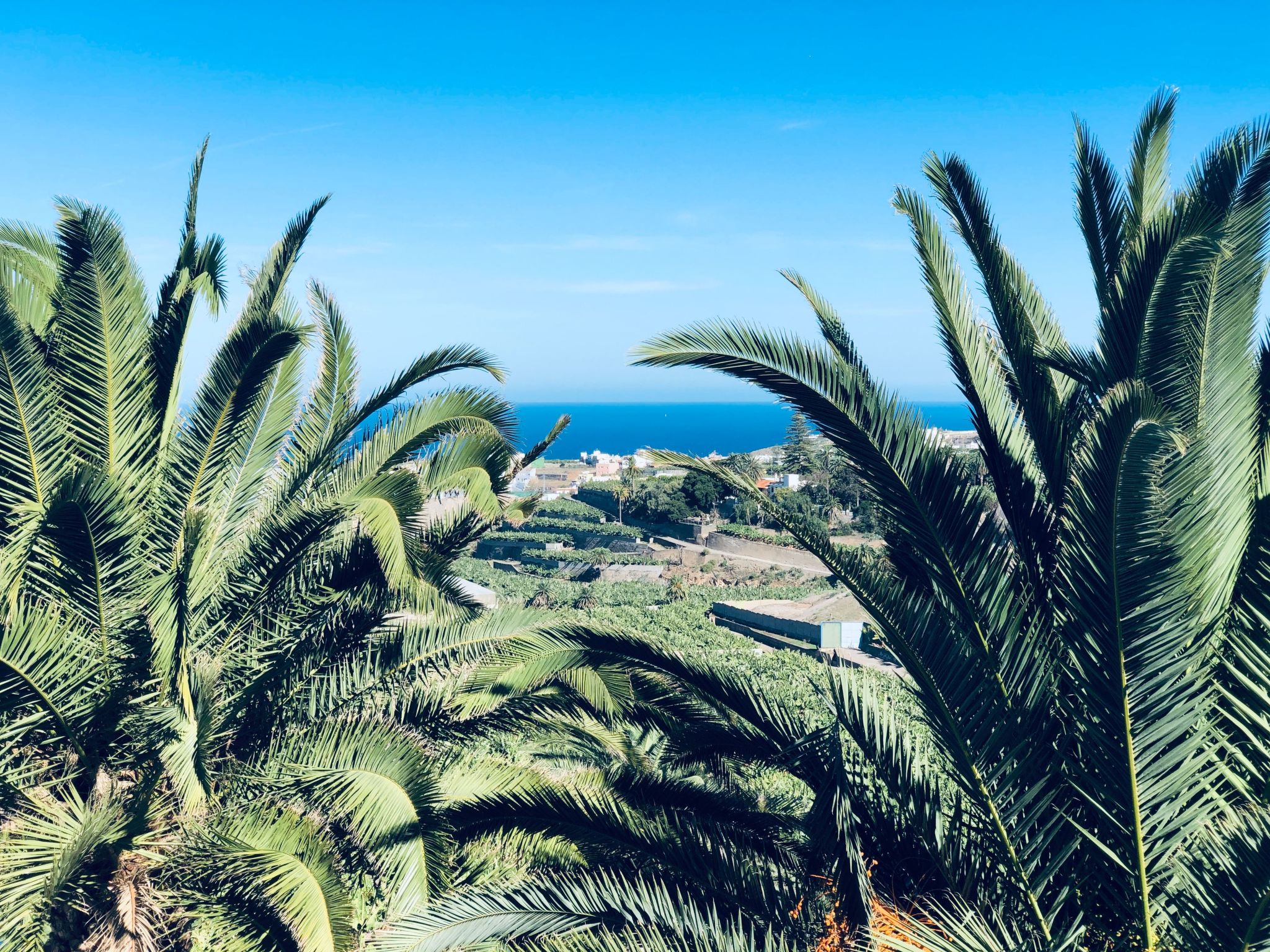 Photo of Villa los palmitos Familiäre Privatvilla mit Pool