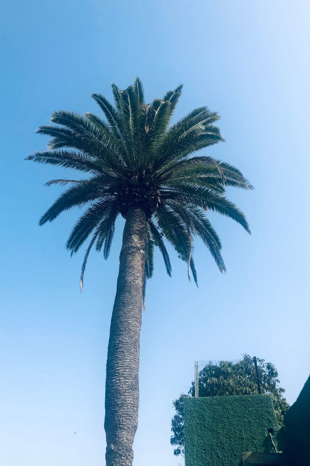 Photo of Villa los palmitos Familiäre Privatvilla mit Pool