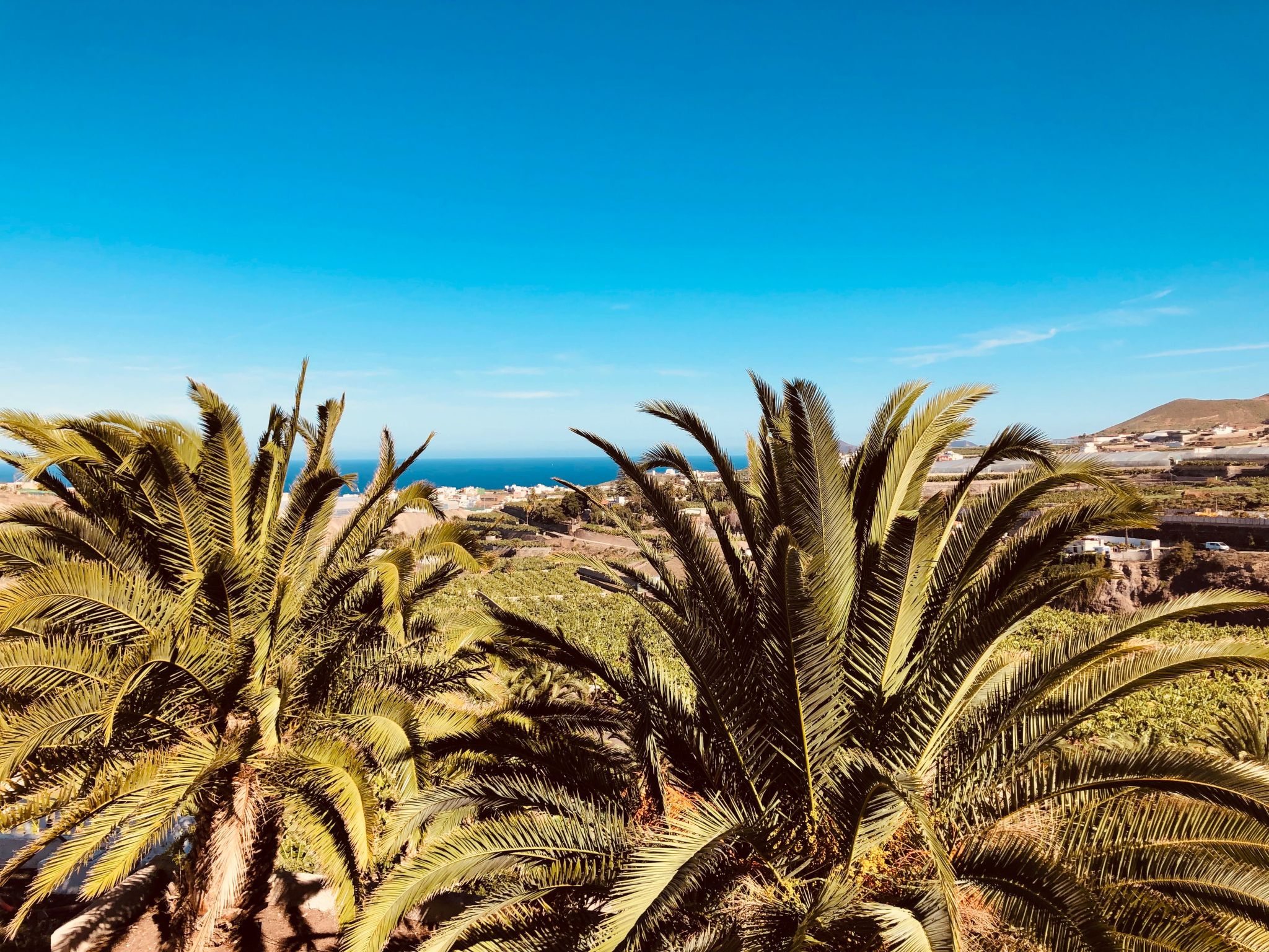 Villa los palmitos Familiäre Privatvilla mit Pool-Image-tags.info