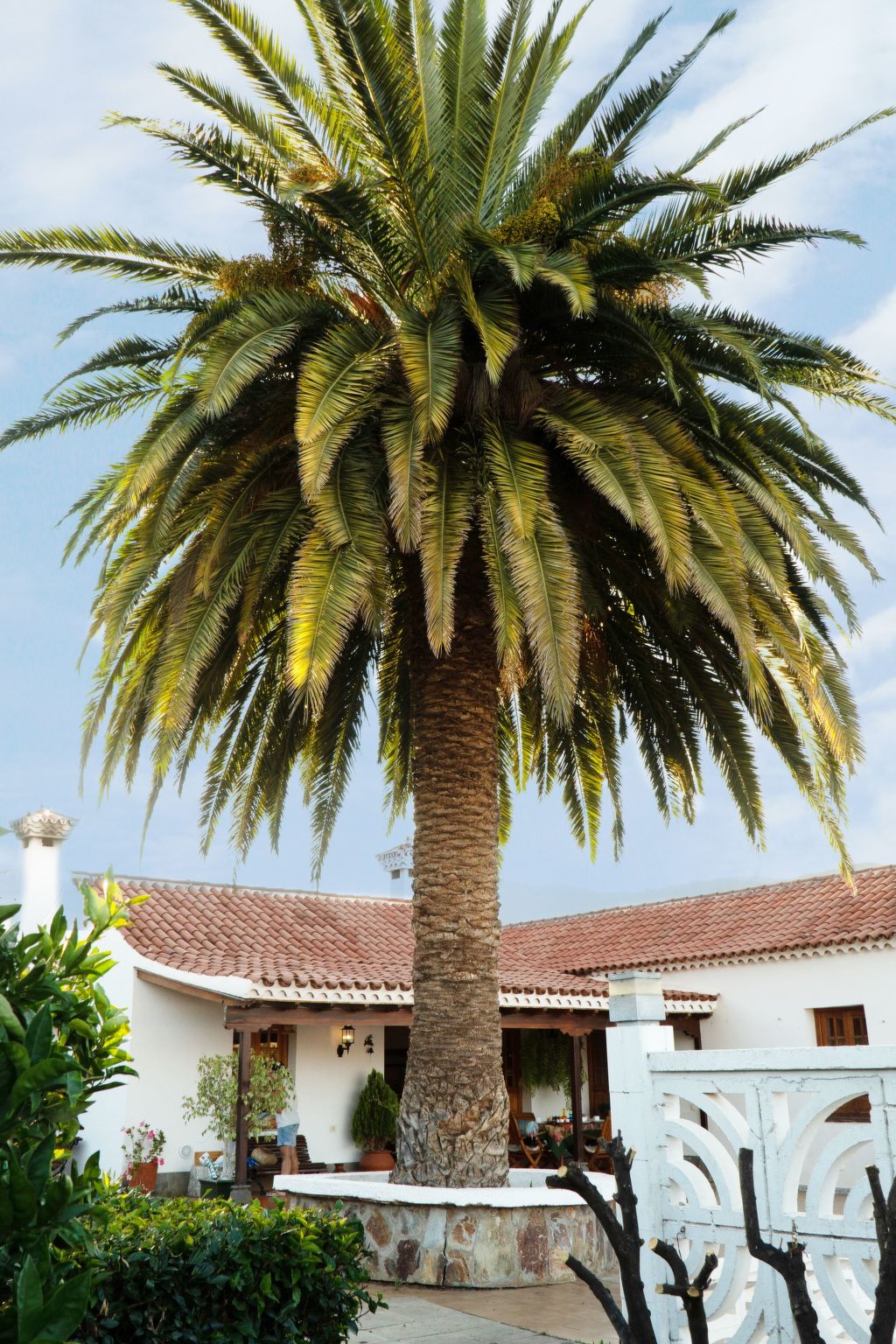 Typisch kanarische Finca Elena mit eigenem Pool-Binnen