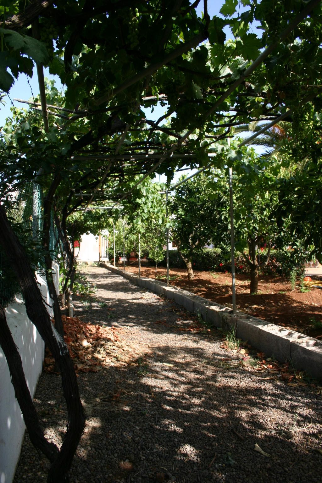 Typisch kanarische Finca Elena mit eigenem Pool-Binnen