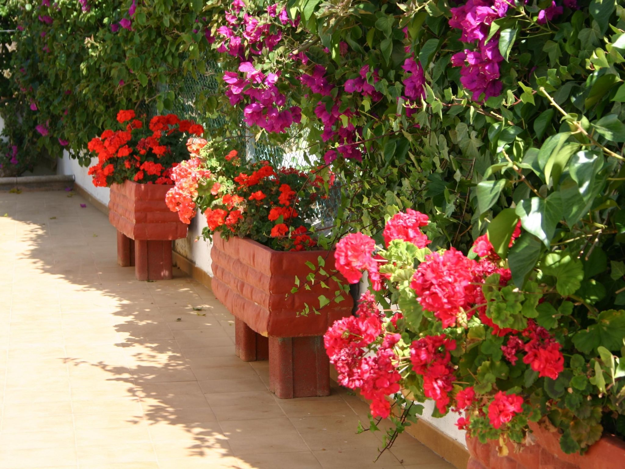 Typisch kanarische Finca Elena mit eigenem Pool-Binnen