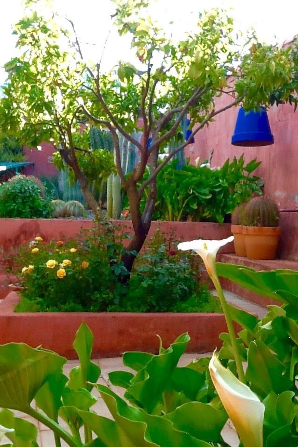 Finca mit Garten, Grill und Terrasse-Outside