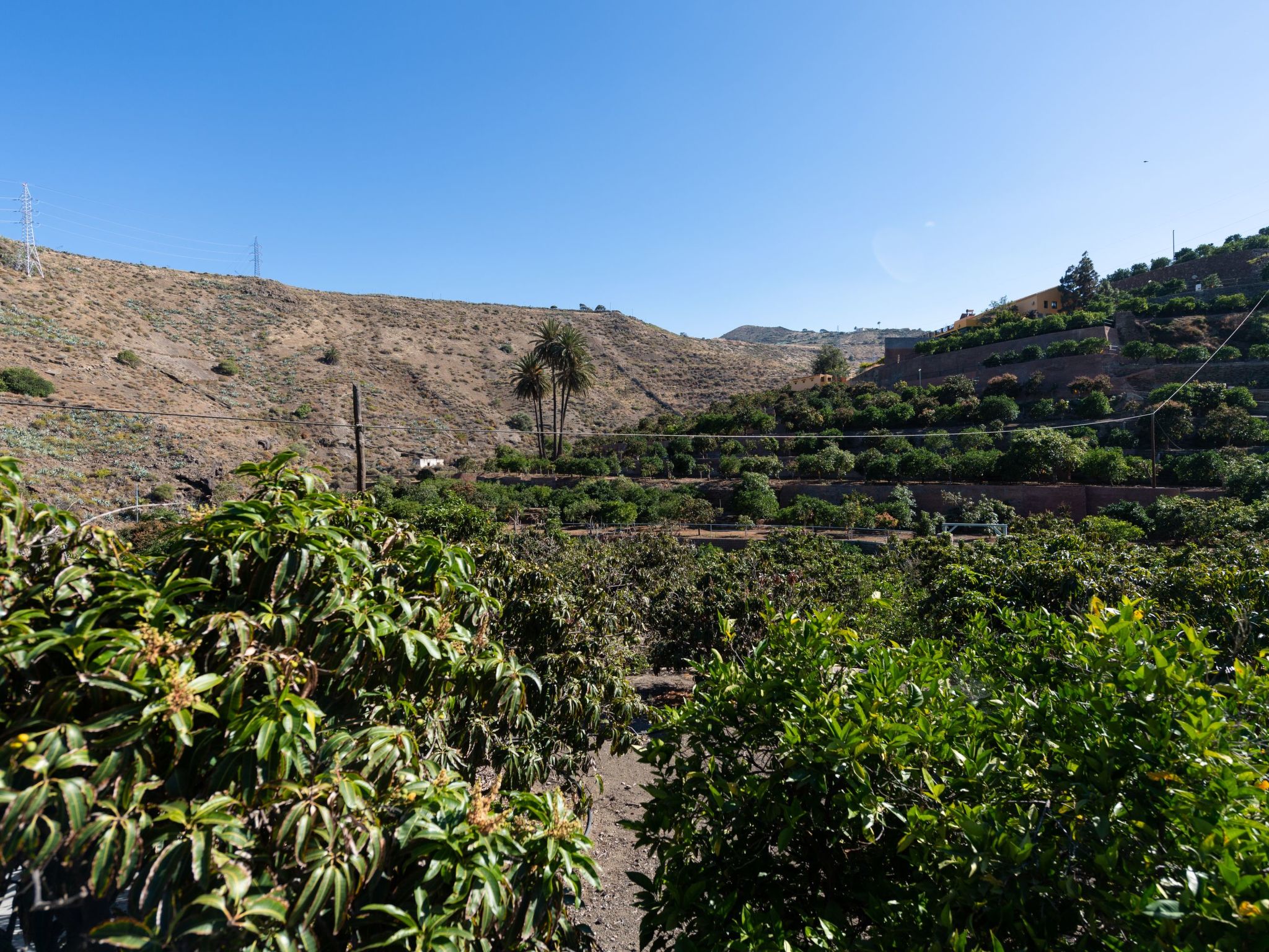 Urlaub & Gesundheit in FINCA OASIS - VILLA 8-Outside
