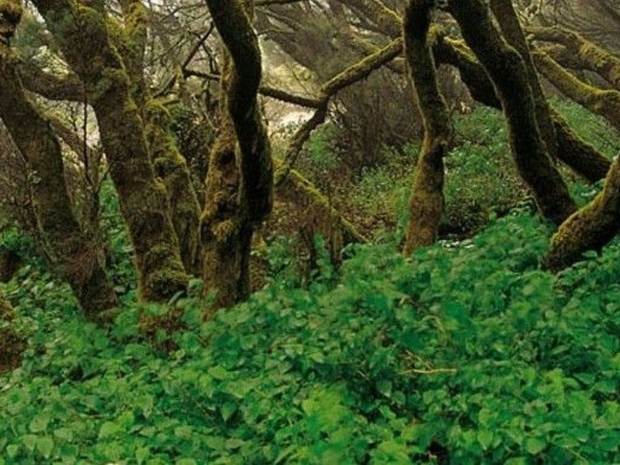 Photo of Vcv Apartamento La Sal