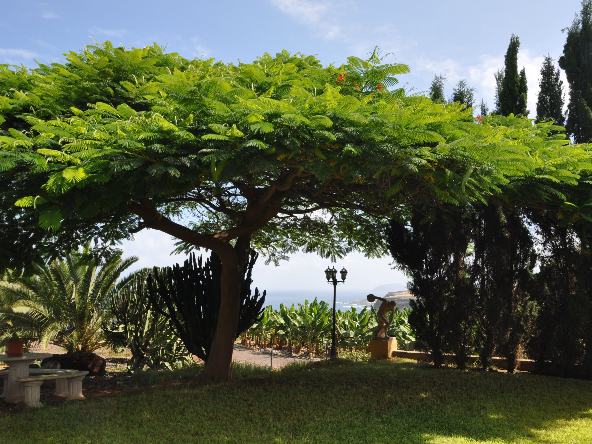 Finca "Hacienda" mit eigenem Schwimmbad-Binnen