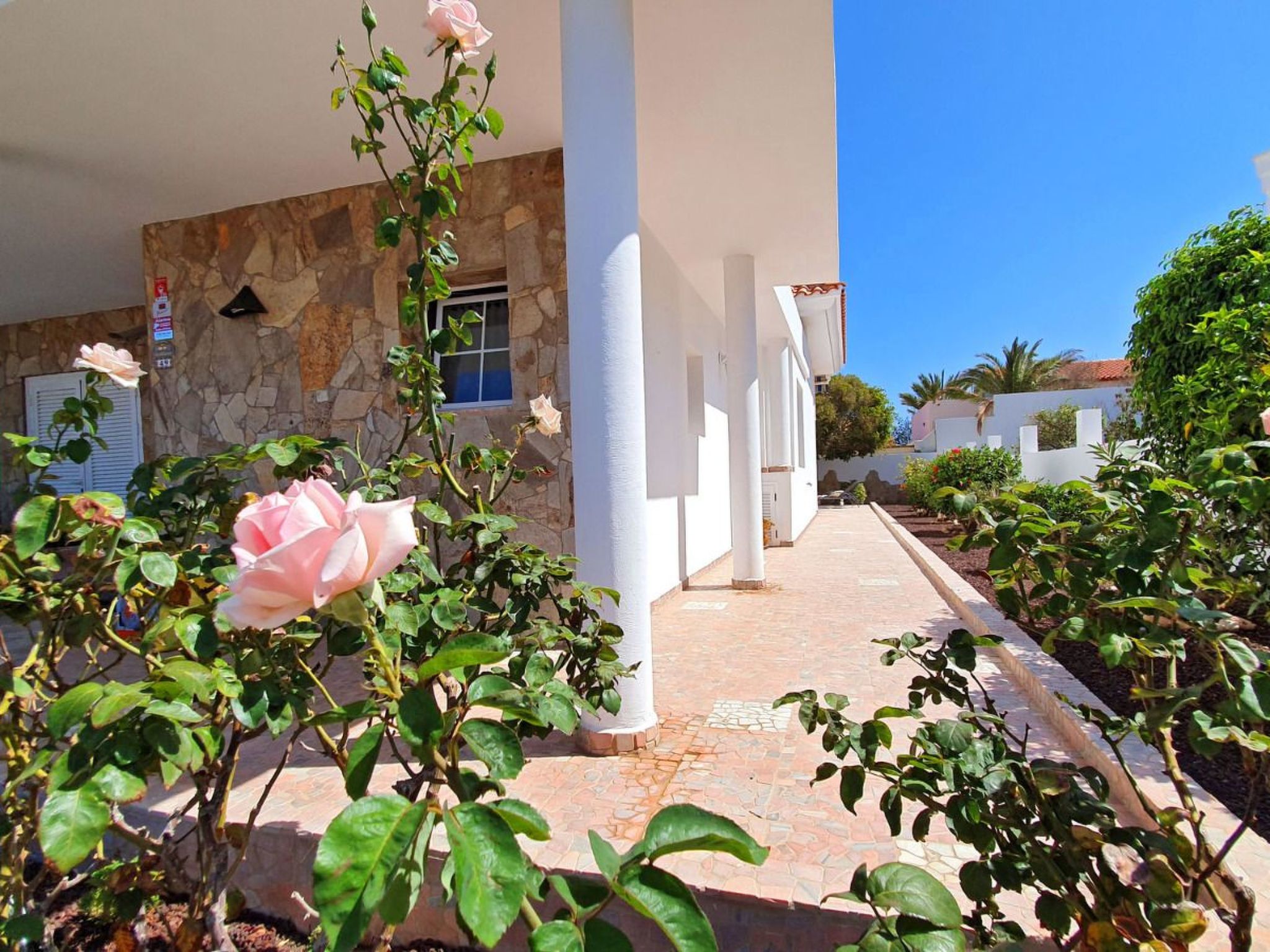 Gemütliches Ferienhaus in Tarajalejo mit Großem Garten und Meerblick-Image-tags.info