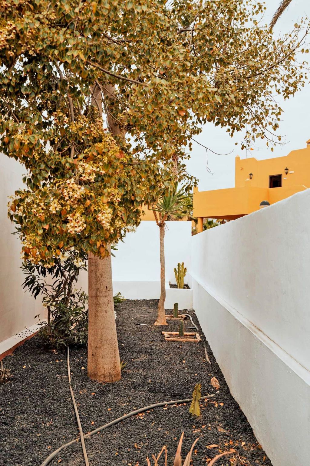 Komfortables Ferienhaus in Corralejo mit privatem Garten und beheiztem Pool-Image-tags.info