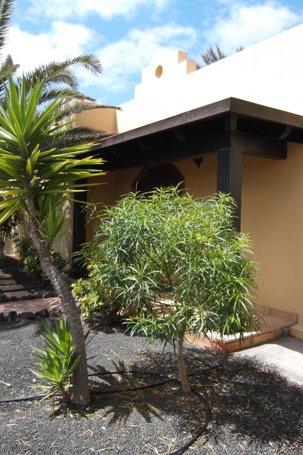 Ferienvilla Marvida-Outside