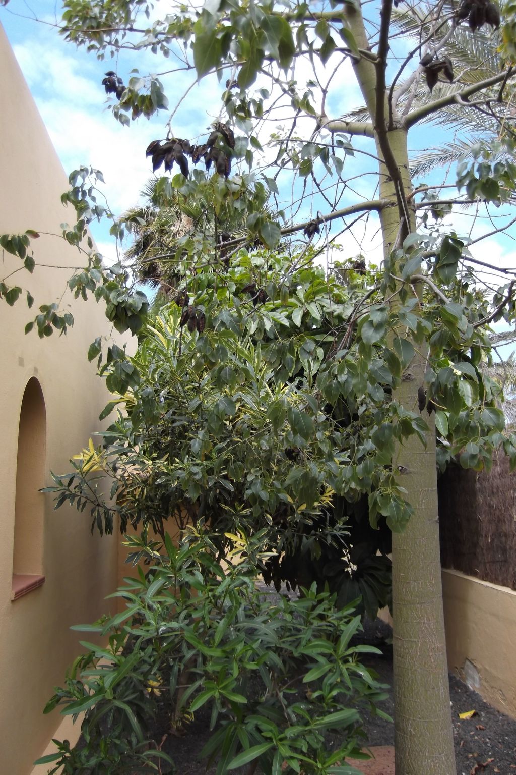 Ferienvilla Marvida-Outside