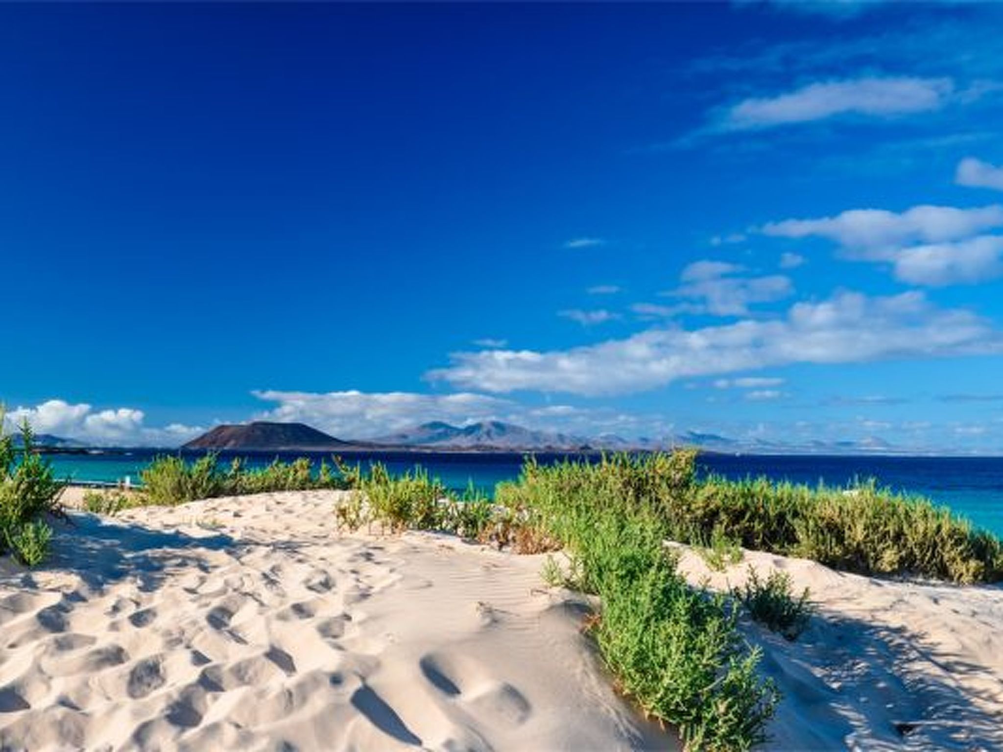 Private Ferienwohnung Oasis Duna-Outside