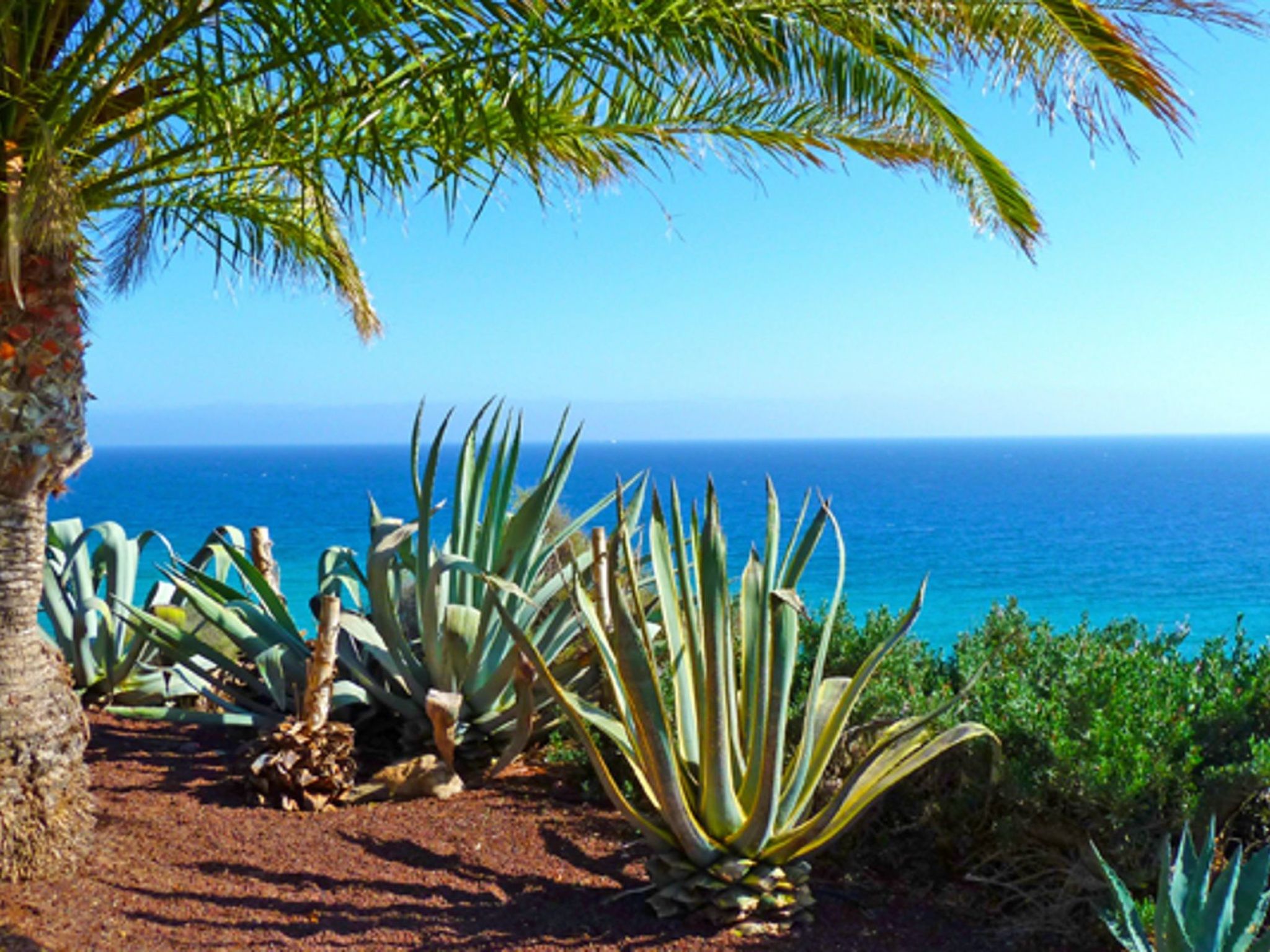 Private Ferienwohnung Oasis Duna-Image-tags.info