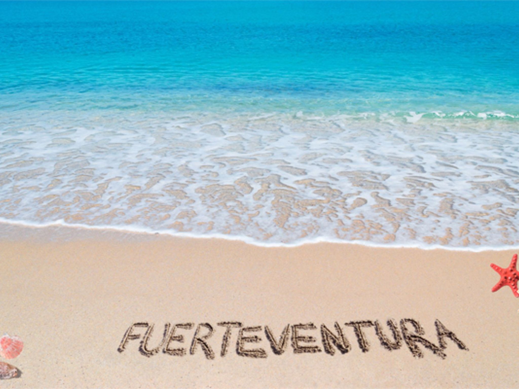 Private Ferienwohnung Oasis Duna-Image-tags.info