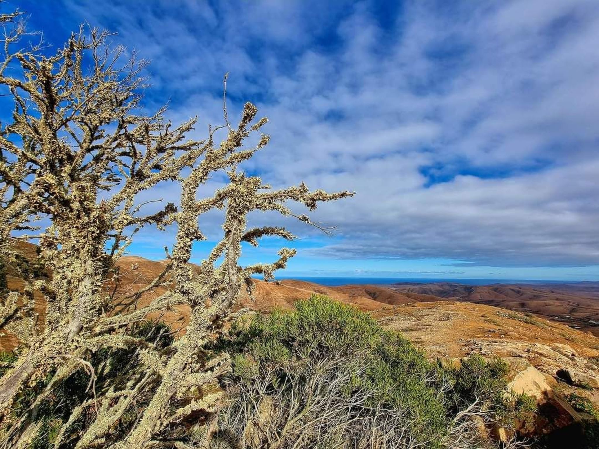 Private Ferienwohnung Oasis Duna-Image-tags.info