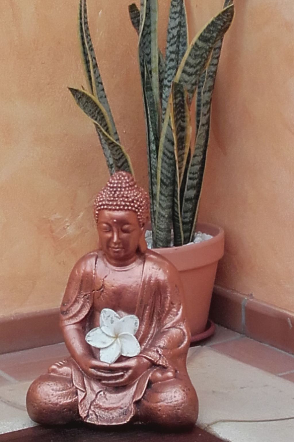 SeaHaus Fuerte-Outside