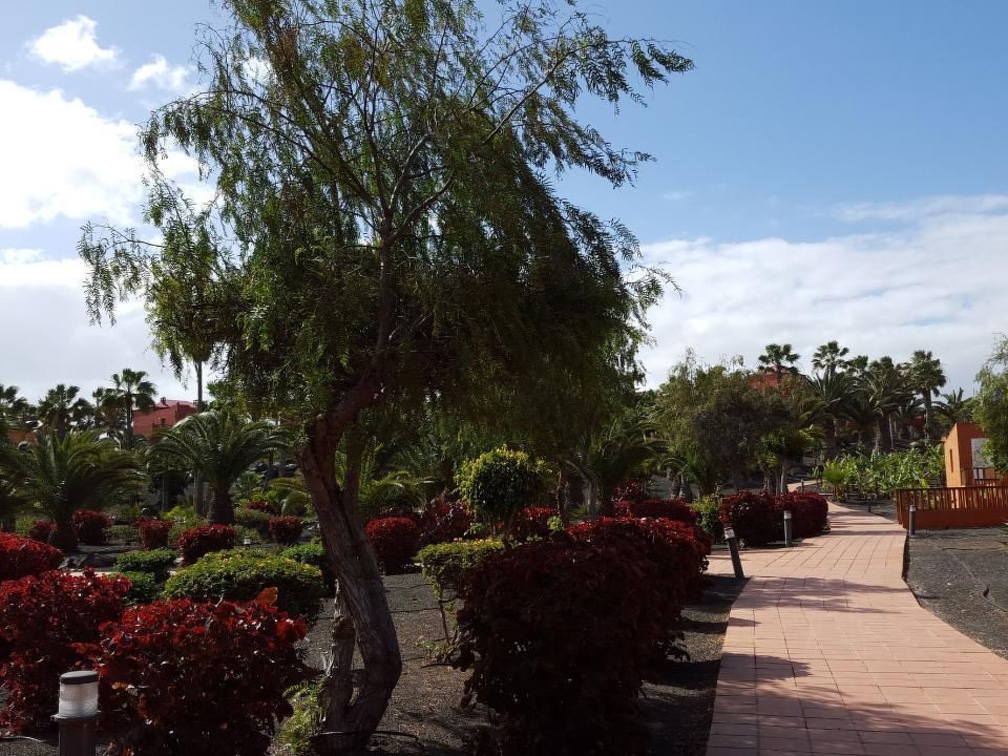 Wohnung in Oasis Royal 1Schlafzimmer 3 Pools-Dedans