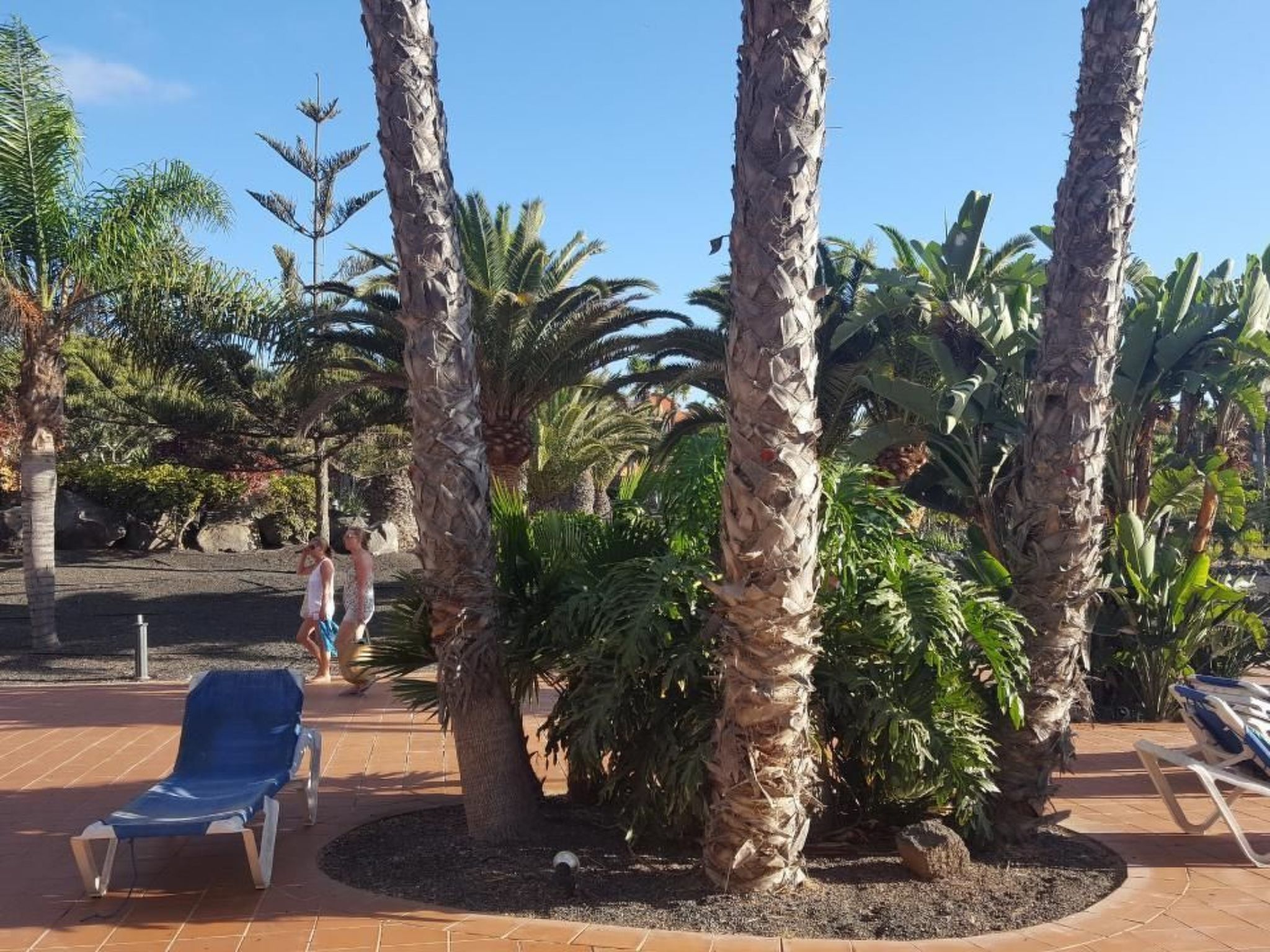 Wohnung in Oasis Royal 1Schlafzimmer 3 Pools-Dedans