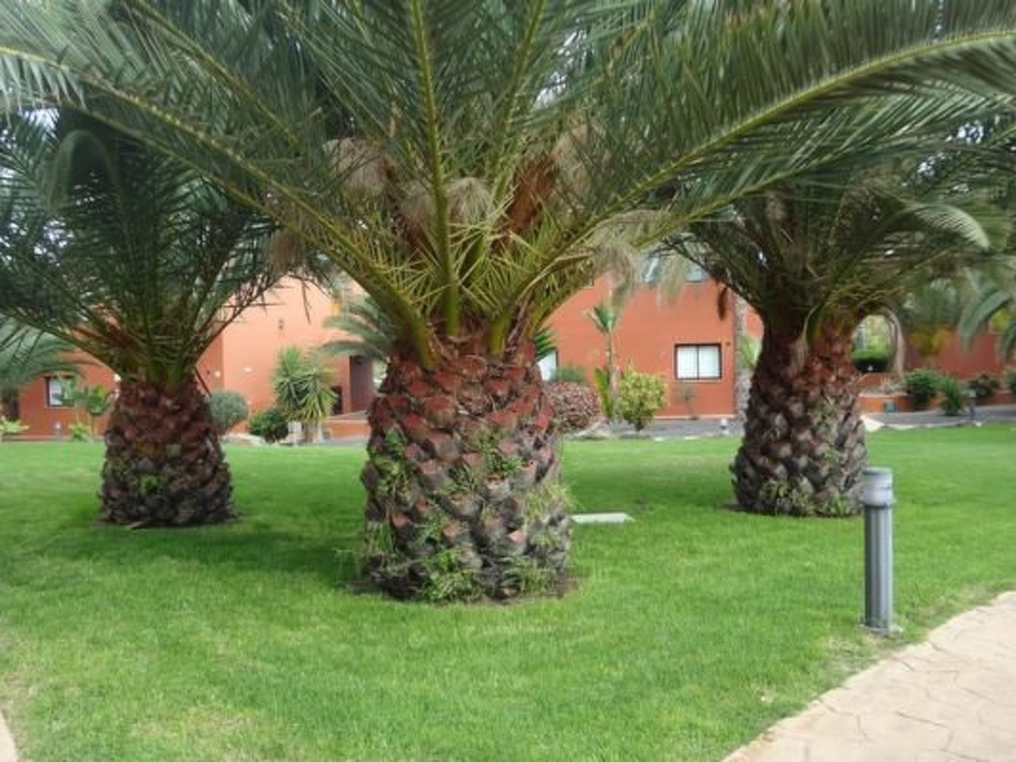 Wohnung "Tamarindo spektakuläre Schwimmbäder".-Outside