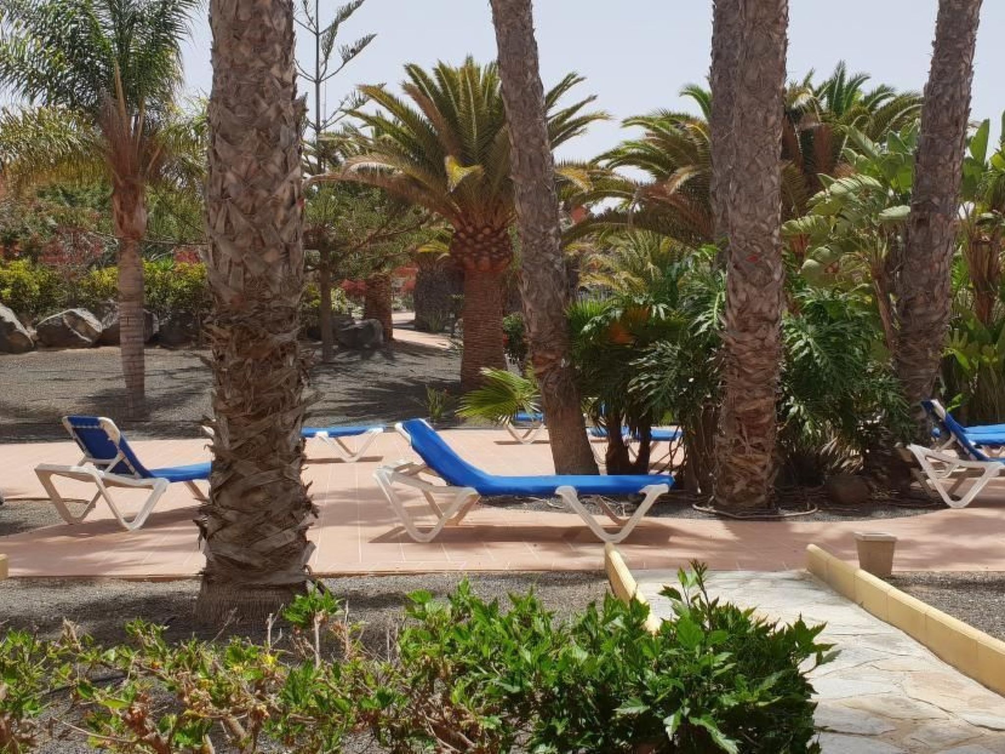 Appartement 'Oasis Royal 3 piscinas'-Outside