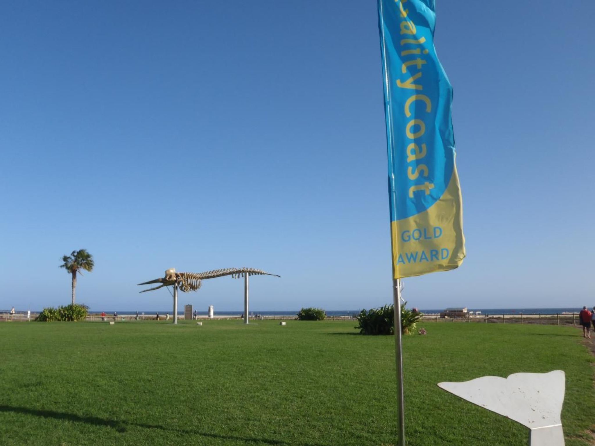 Zonnig appartement met zeezicht op 250m van het strand in Morro Jable - foto 21