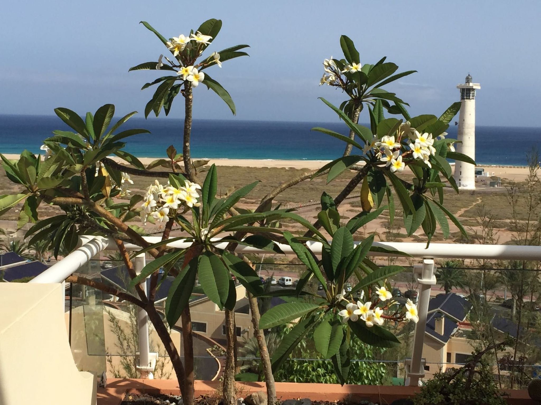 Luxuriöse Ferienwohnung mit Sonnenterrasse-Binnen