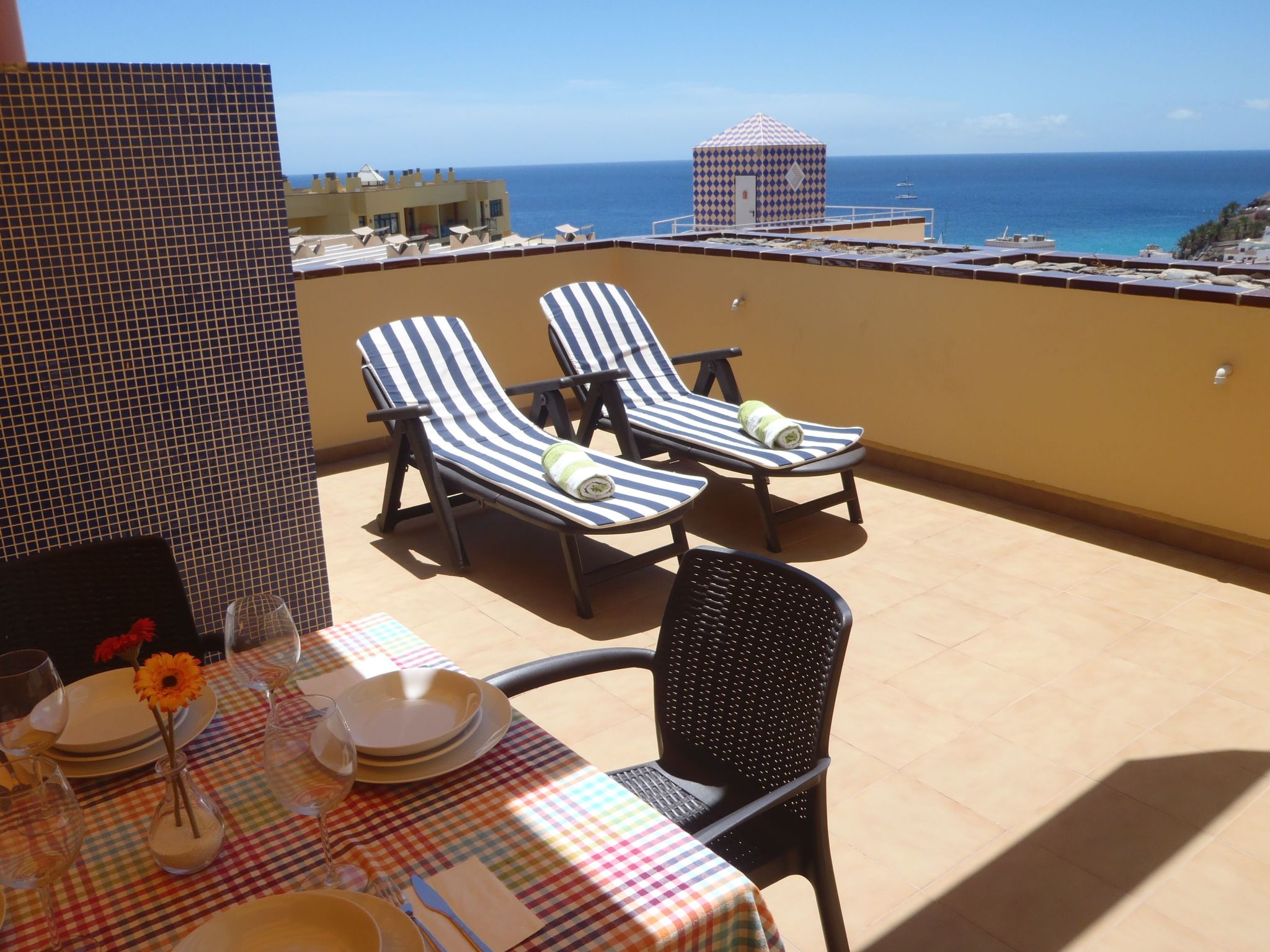 Tajinaste Terras-Binnen