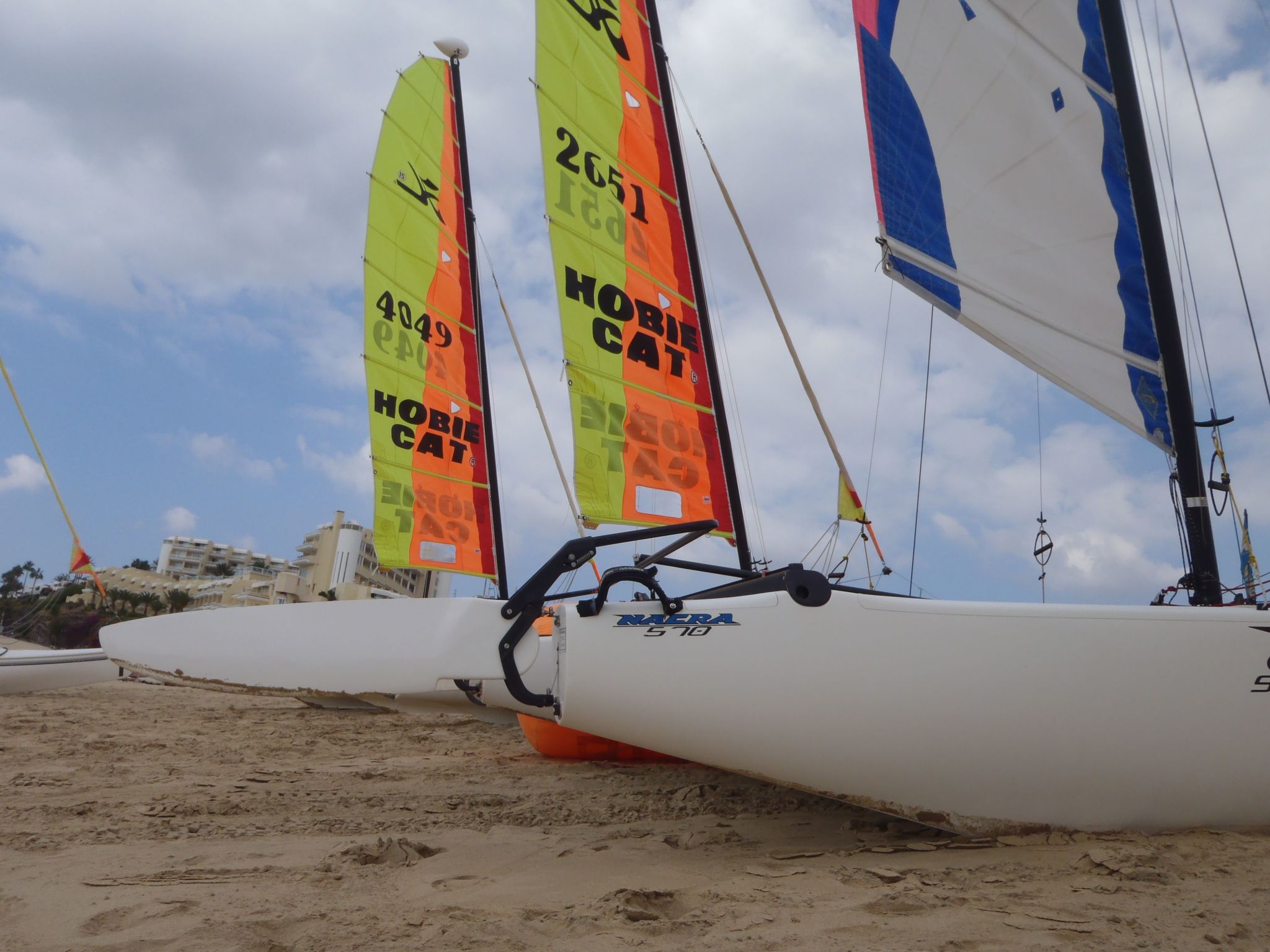 Tajinaste Terras-Binnen