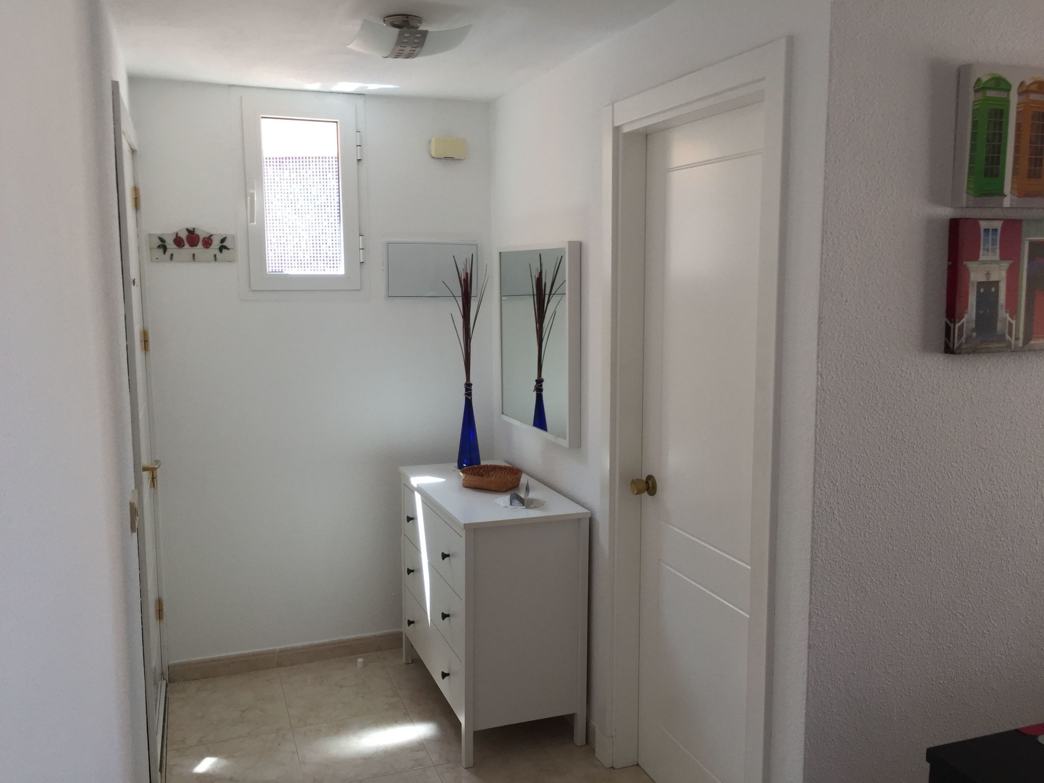 Tajinaste SOL-Binnen