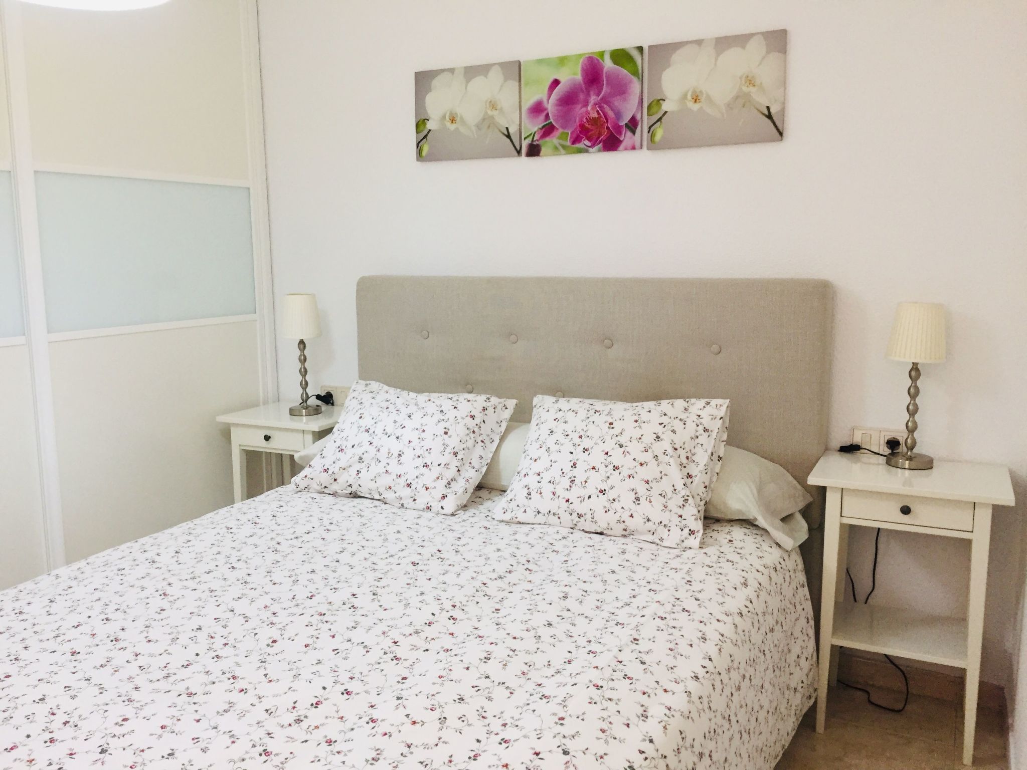 Tajinaste SOL-Binnen