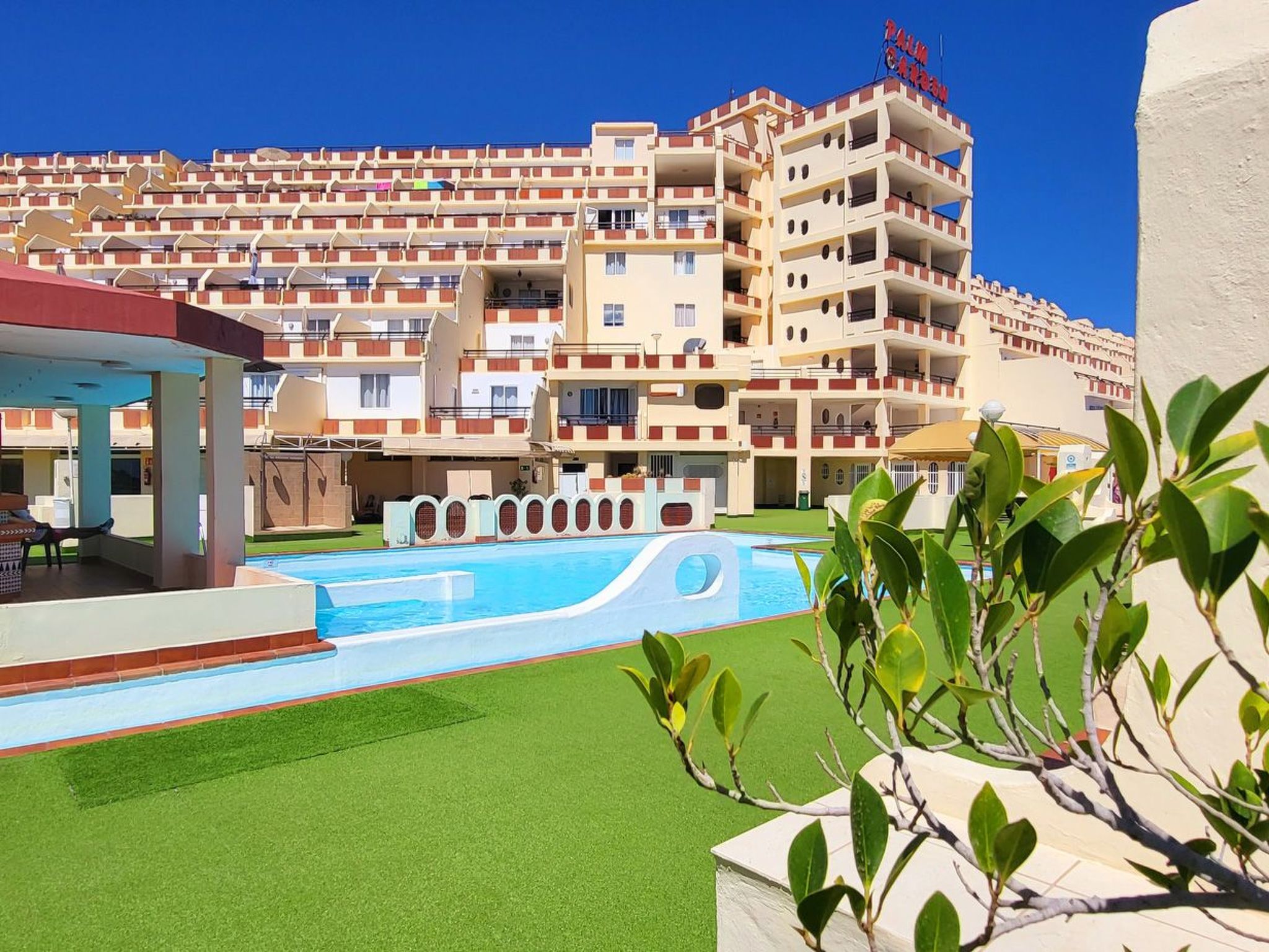 Buena Vista-Image-tags.info