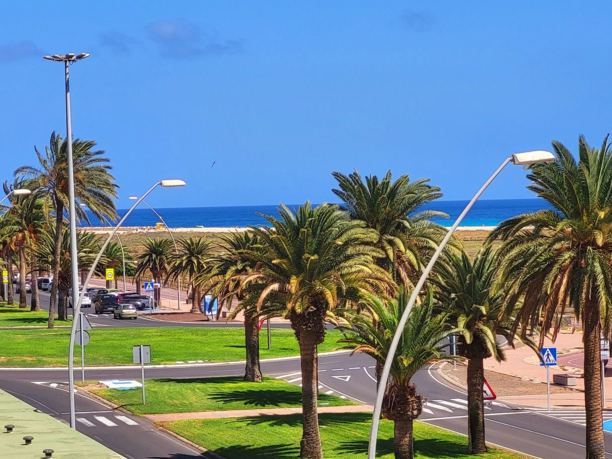 Buena Vista-Image-tags.info