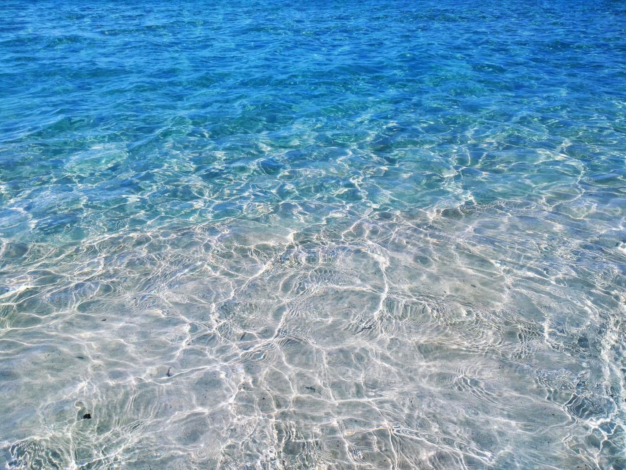 Wohnungen Palm Garden-Binnen