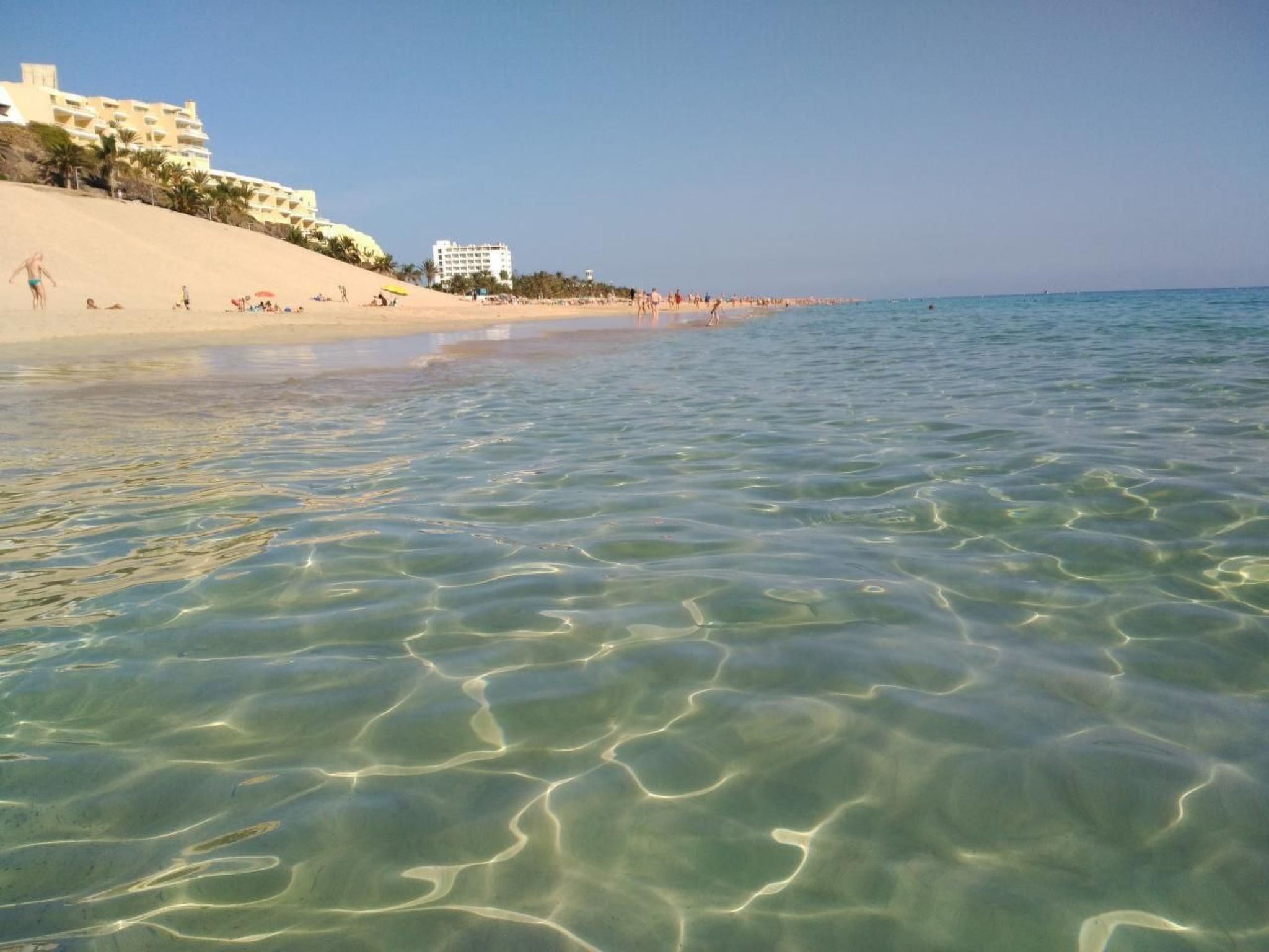 Wohnungen Palm Garden-Binnen