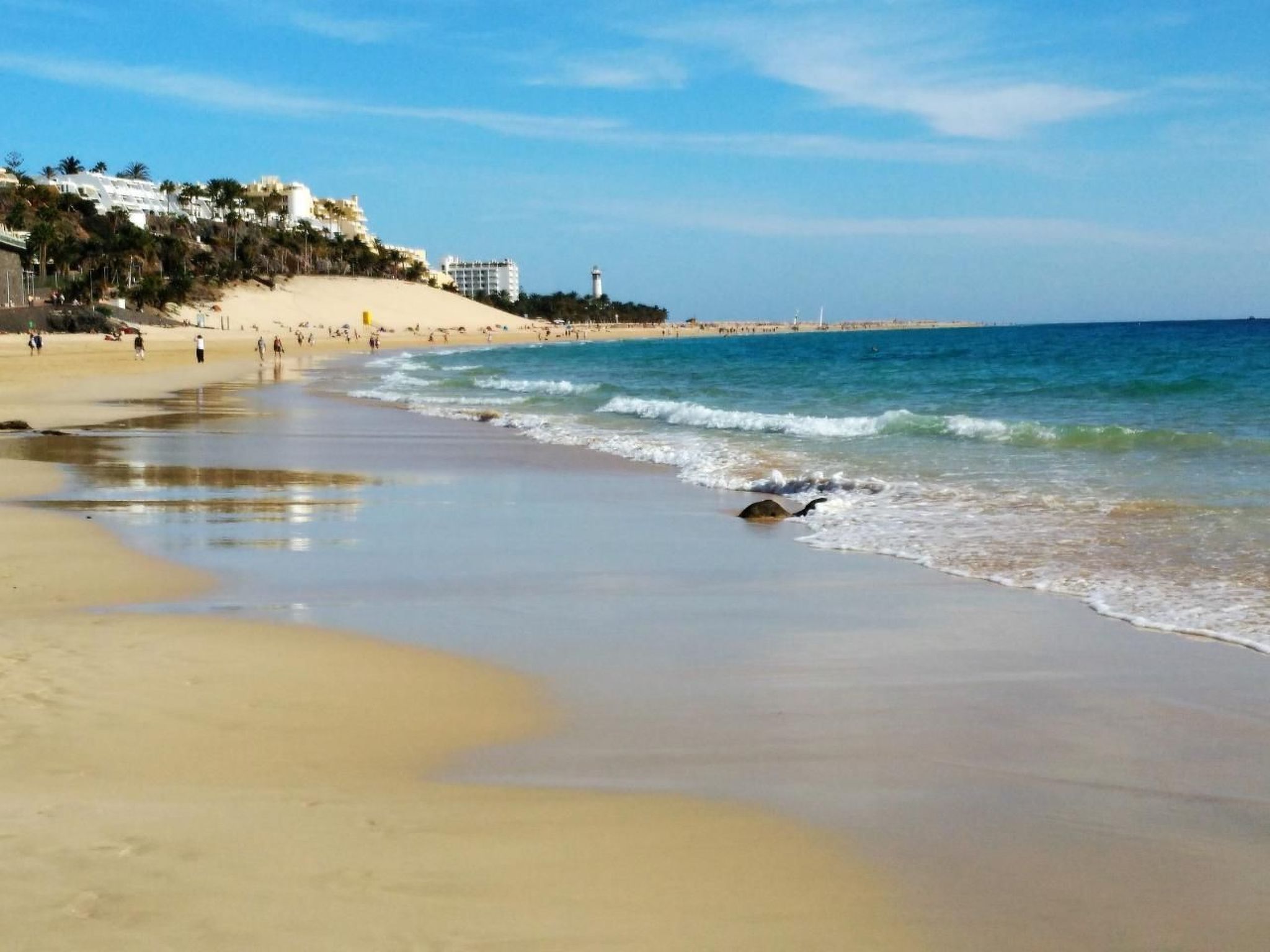 Wohnungen Palm Garden-Binnen