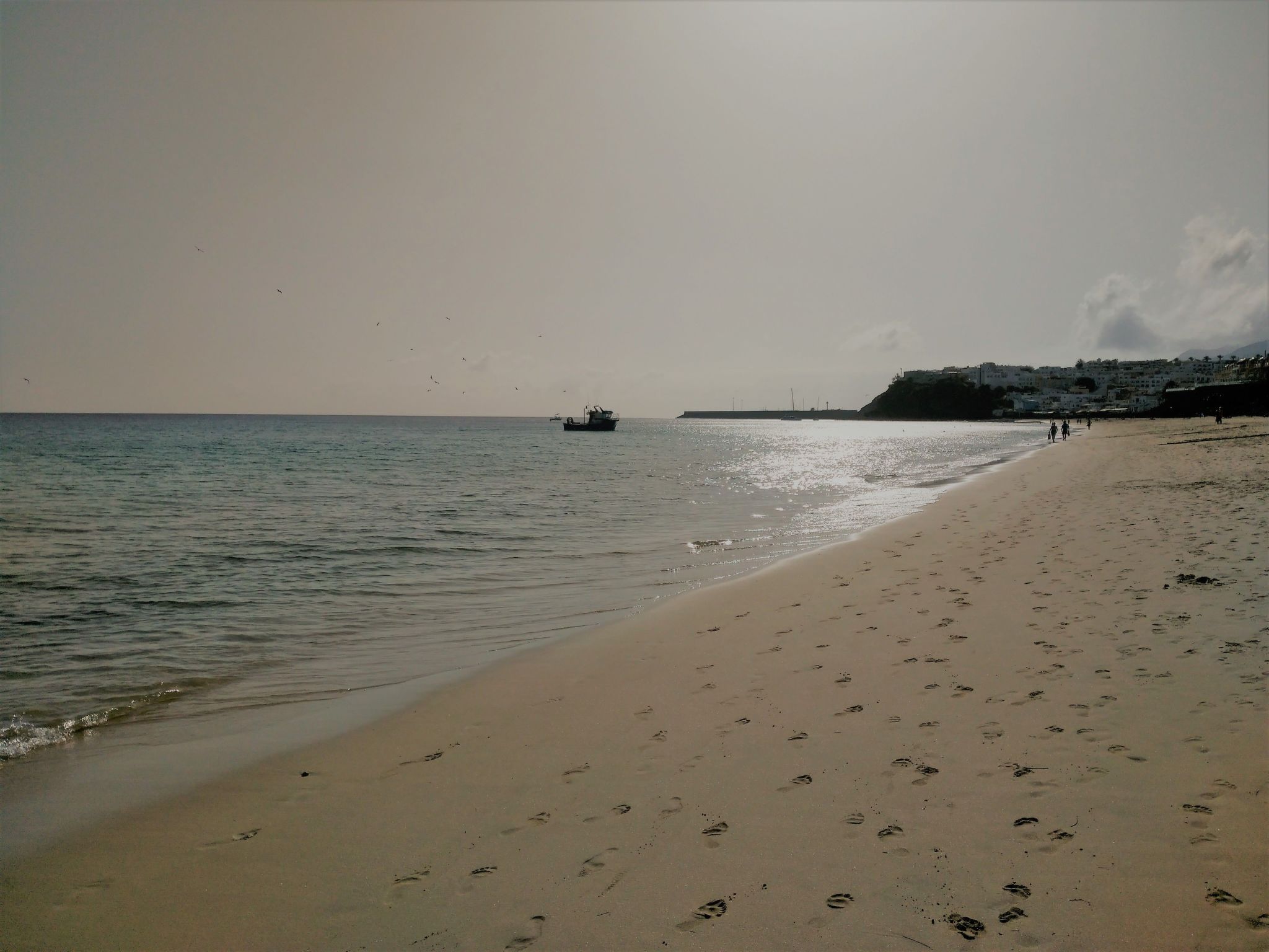 Wohnungen Palm Garden-Binnen