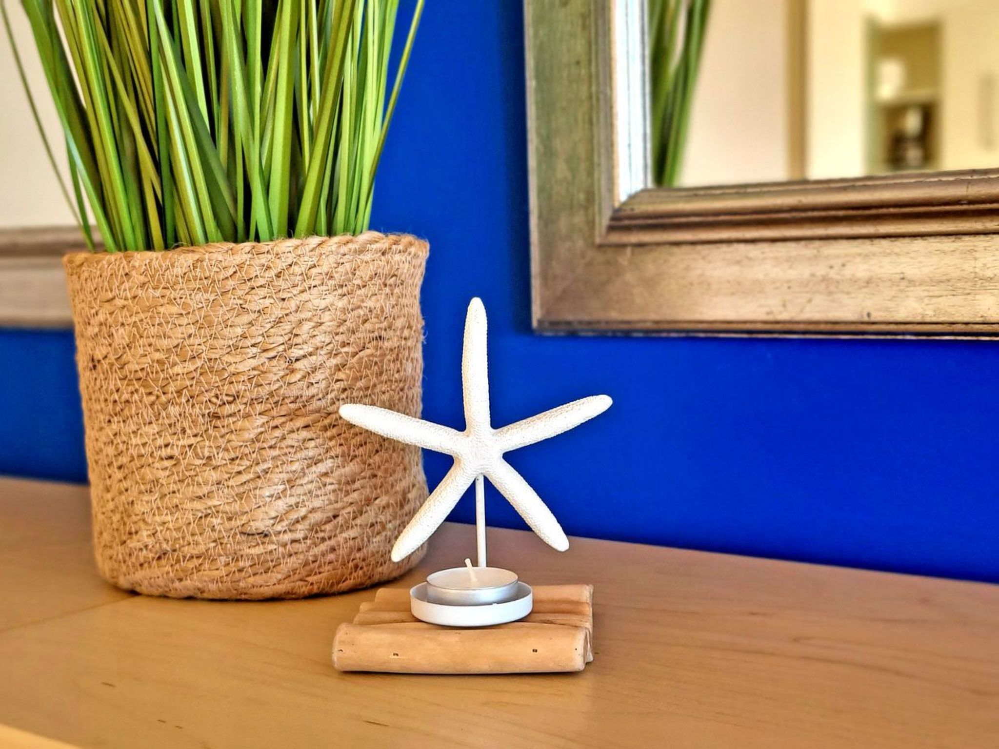 Janida Dream-Image-tags.info