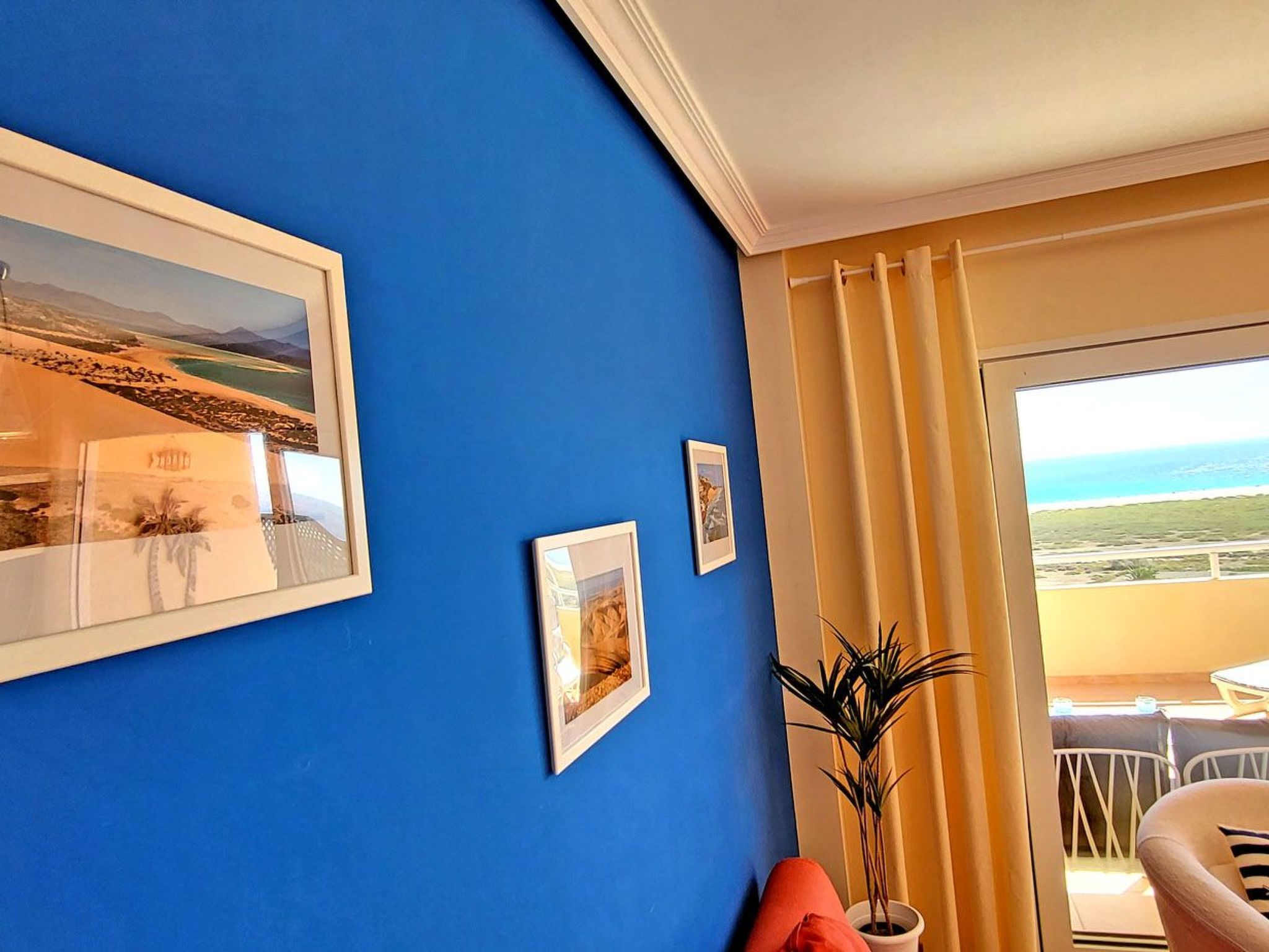 Janida Dream-Image-tags.info