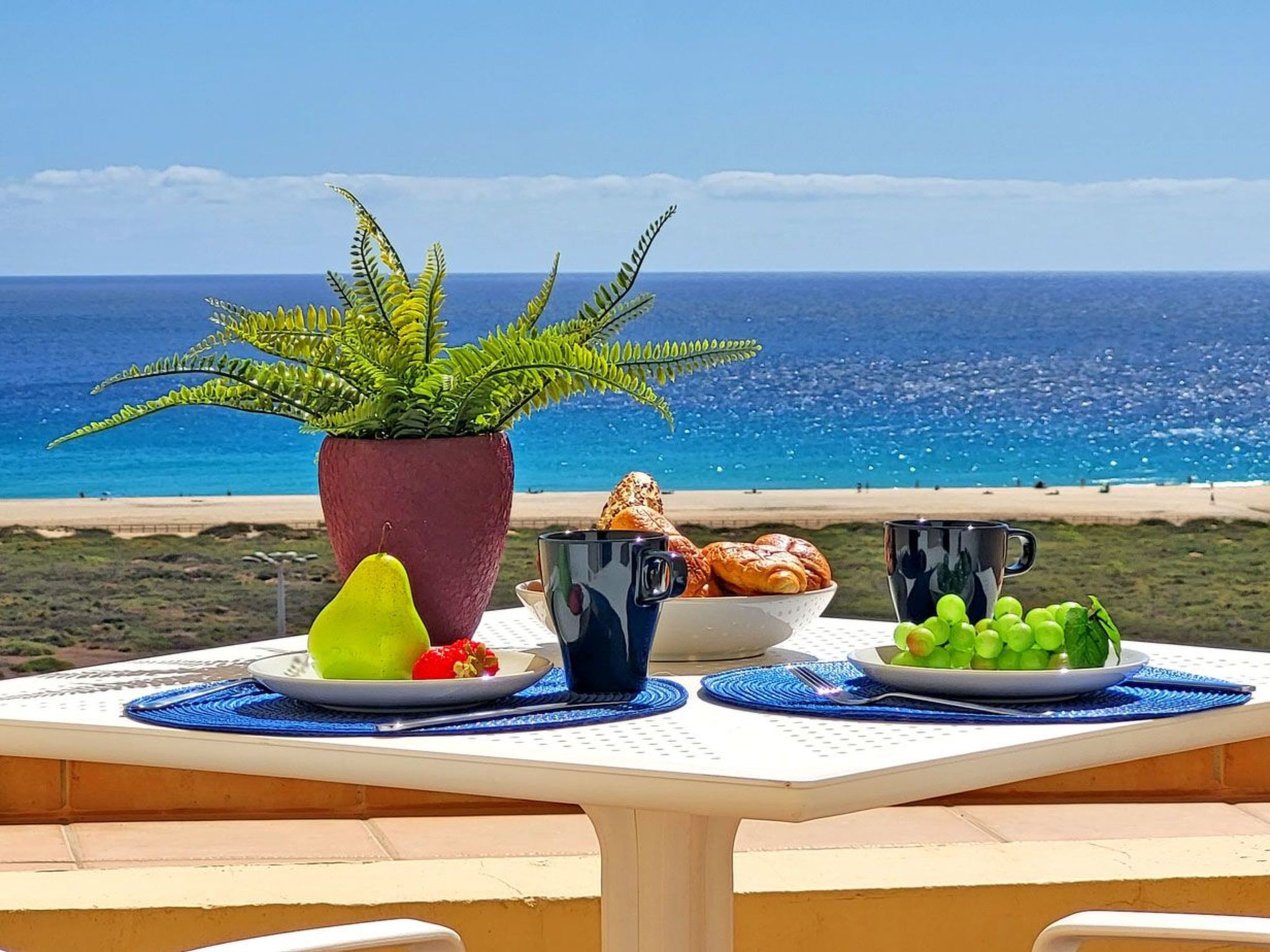 Janida Dream-Image-tags.info